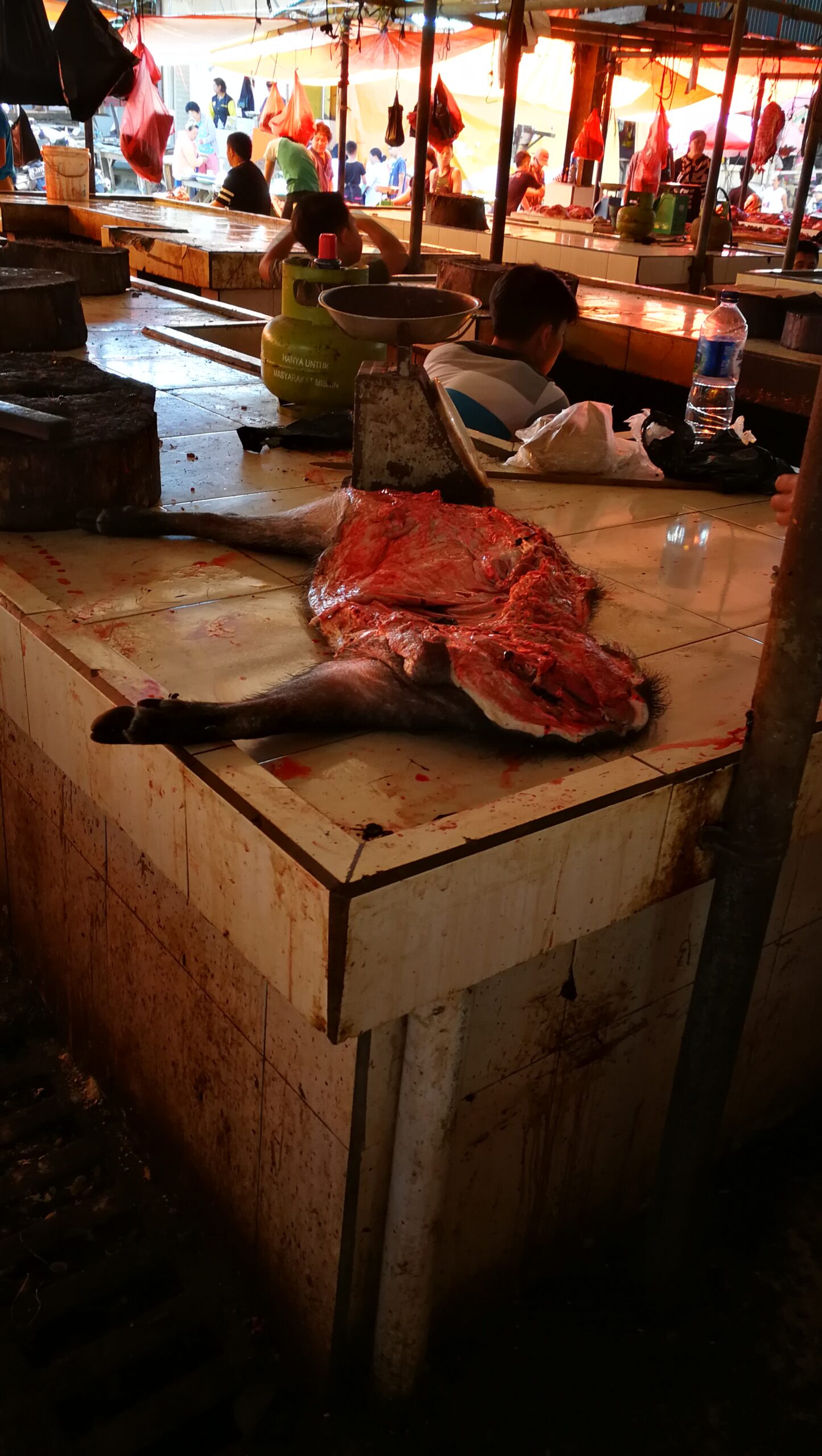 0104MIMG_20190915_093331