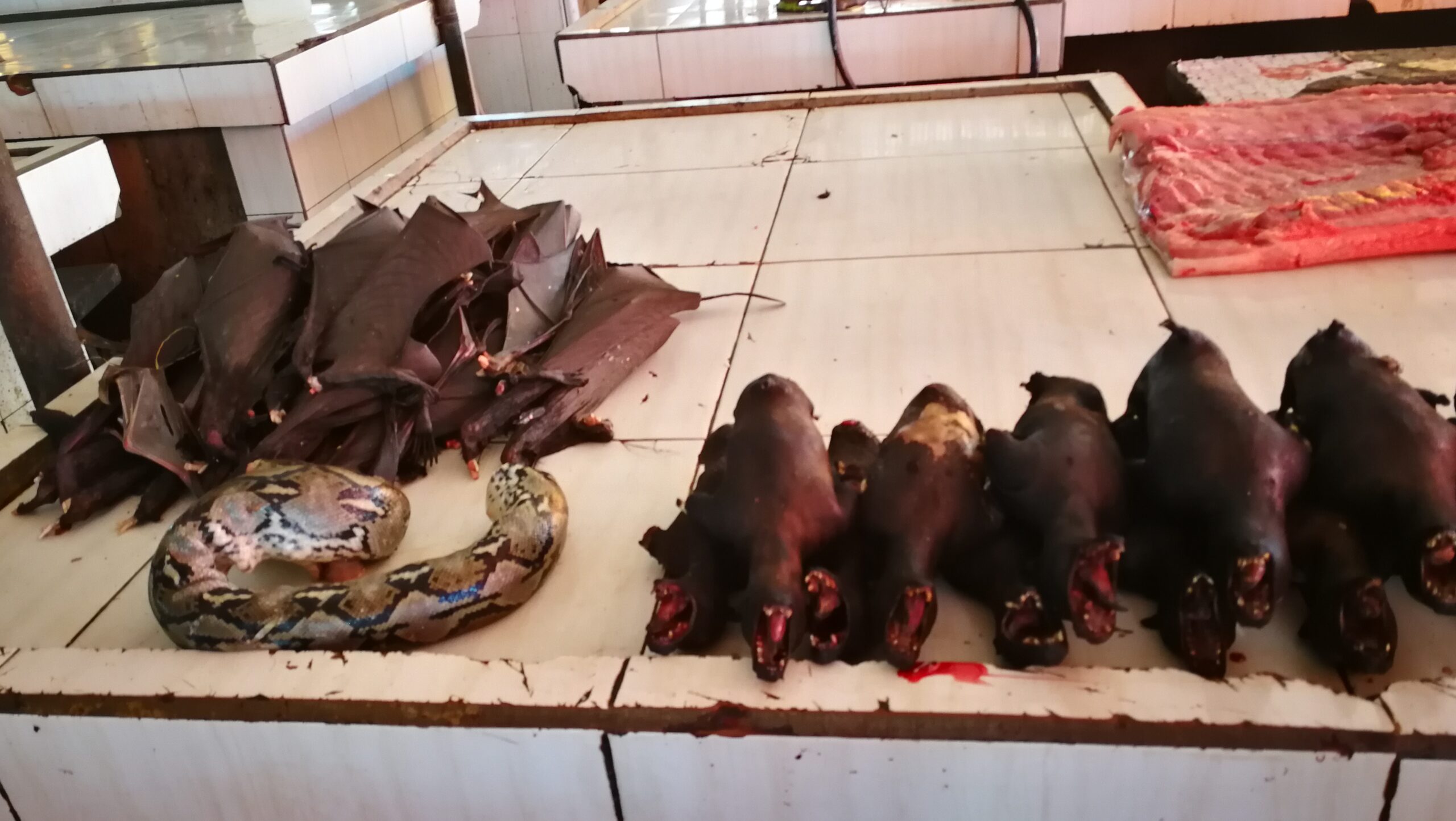 0104MIMG_20190915_093413