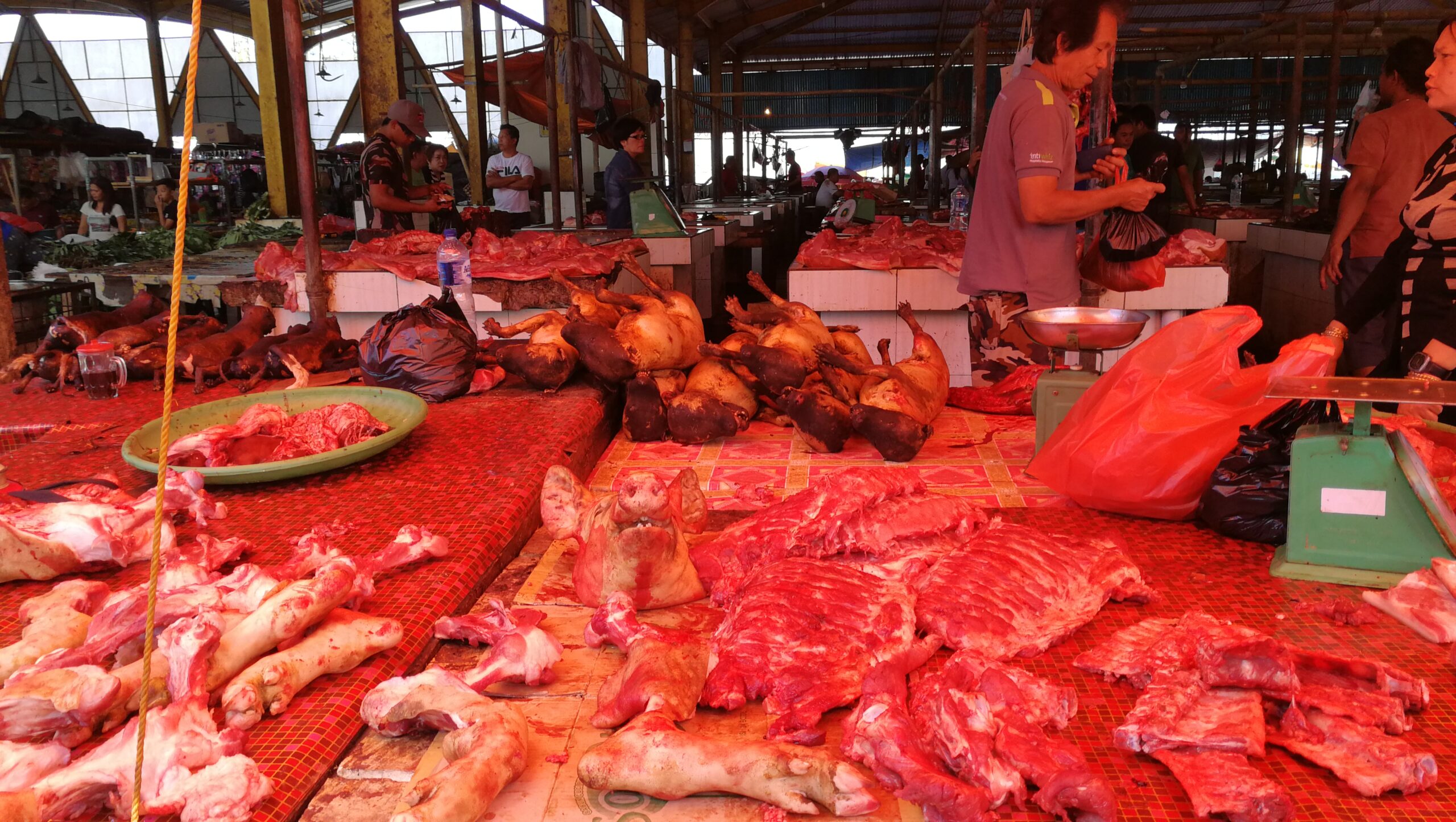 0104MIMG_20190915_093500