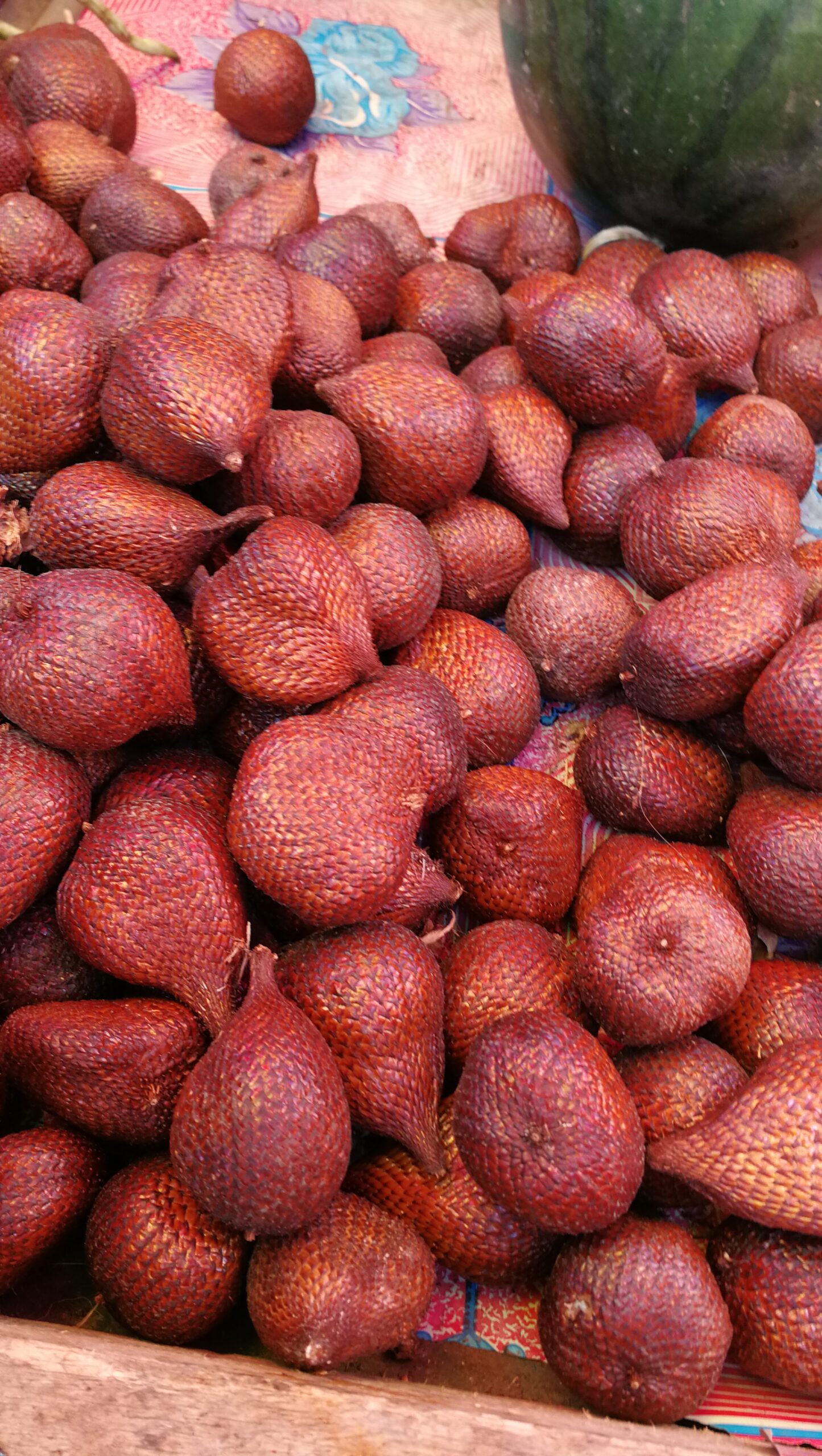 0104MIMG_20190915_093750