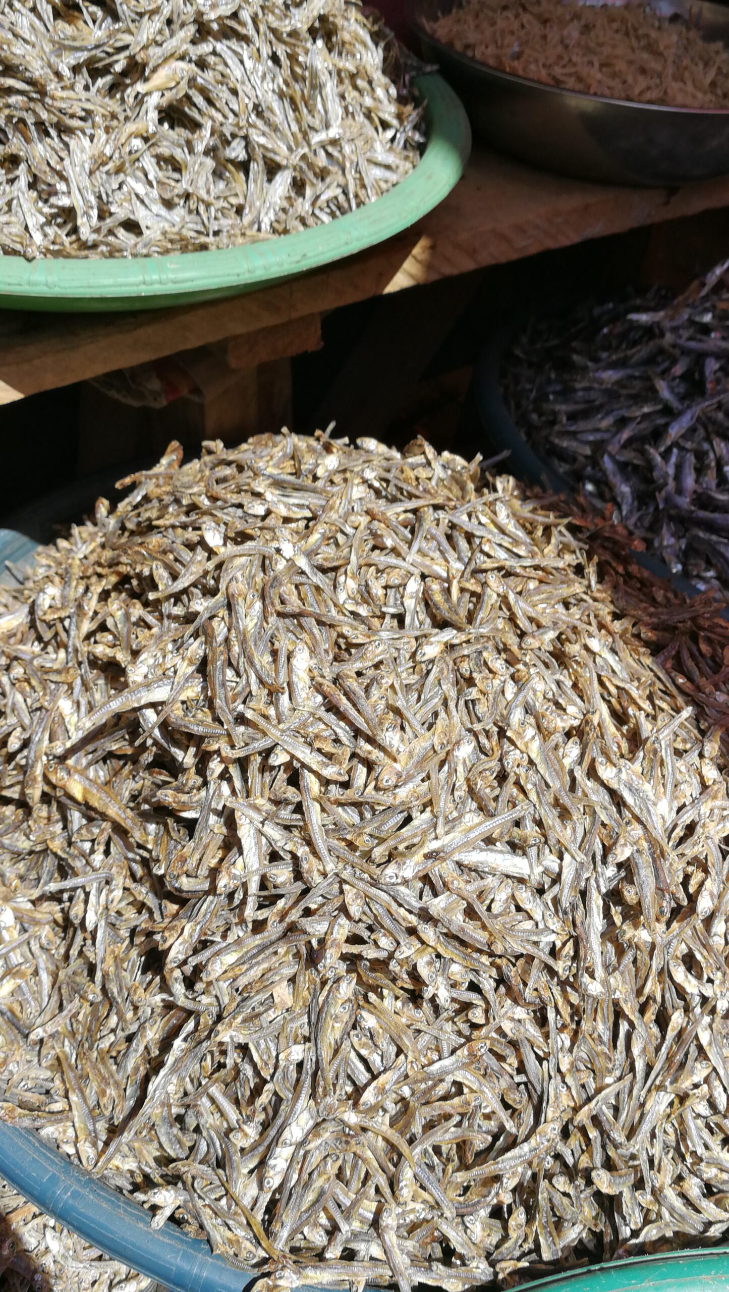 0104MIMG_20190915_093927