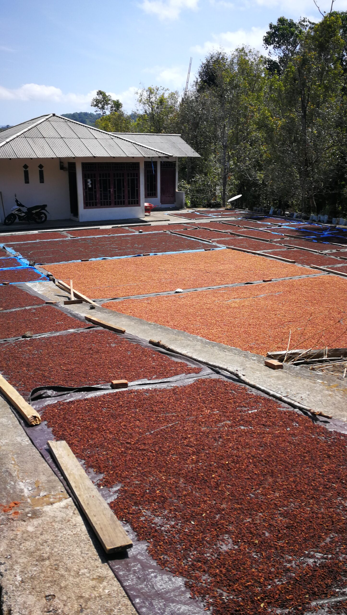 0130IMG_20190915_131353