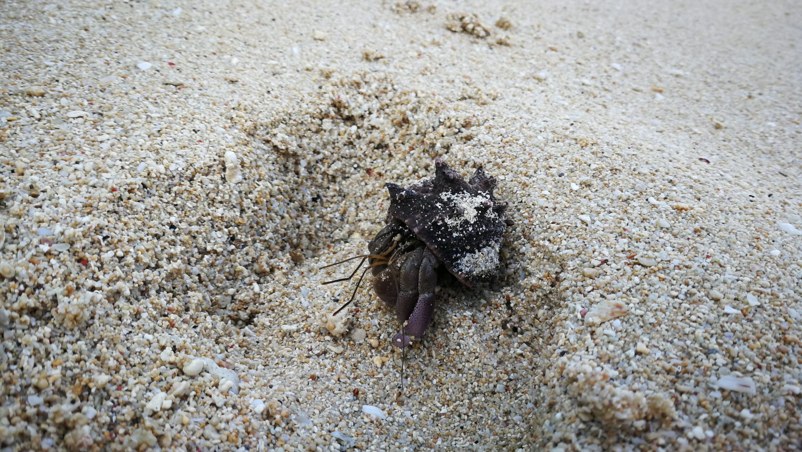 0252IMG_20190920_150243