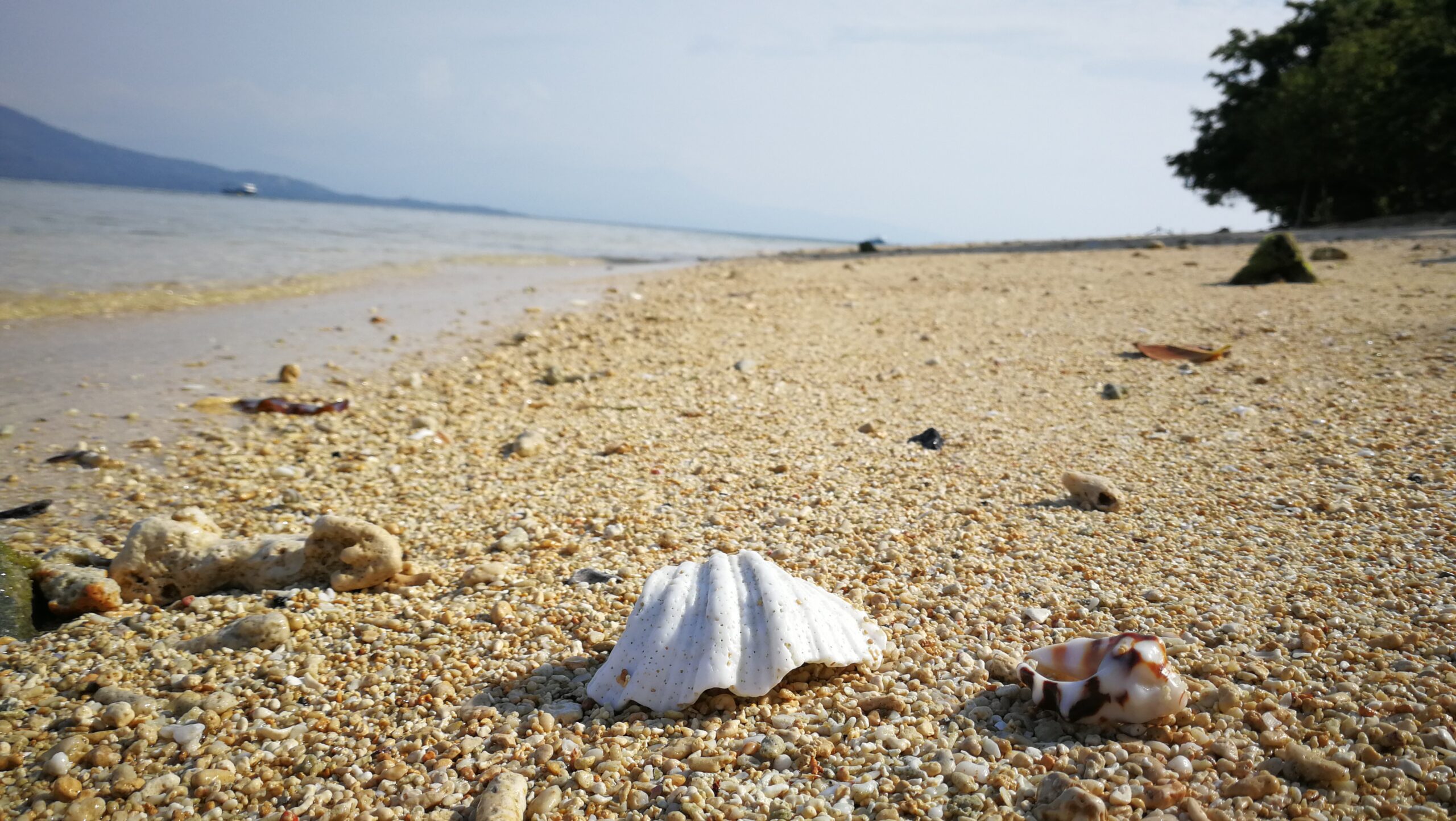 0253IMG_20190920_150459