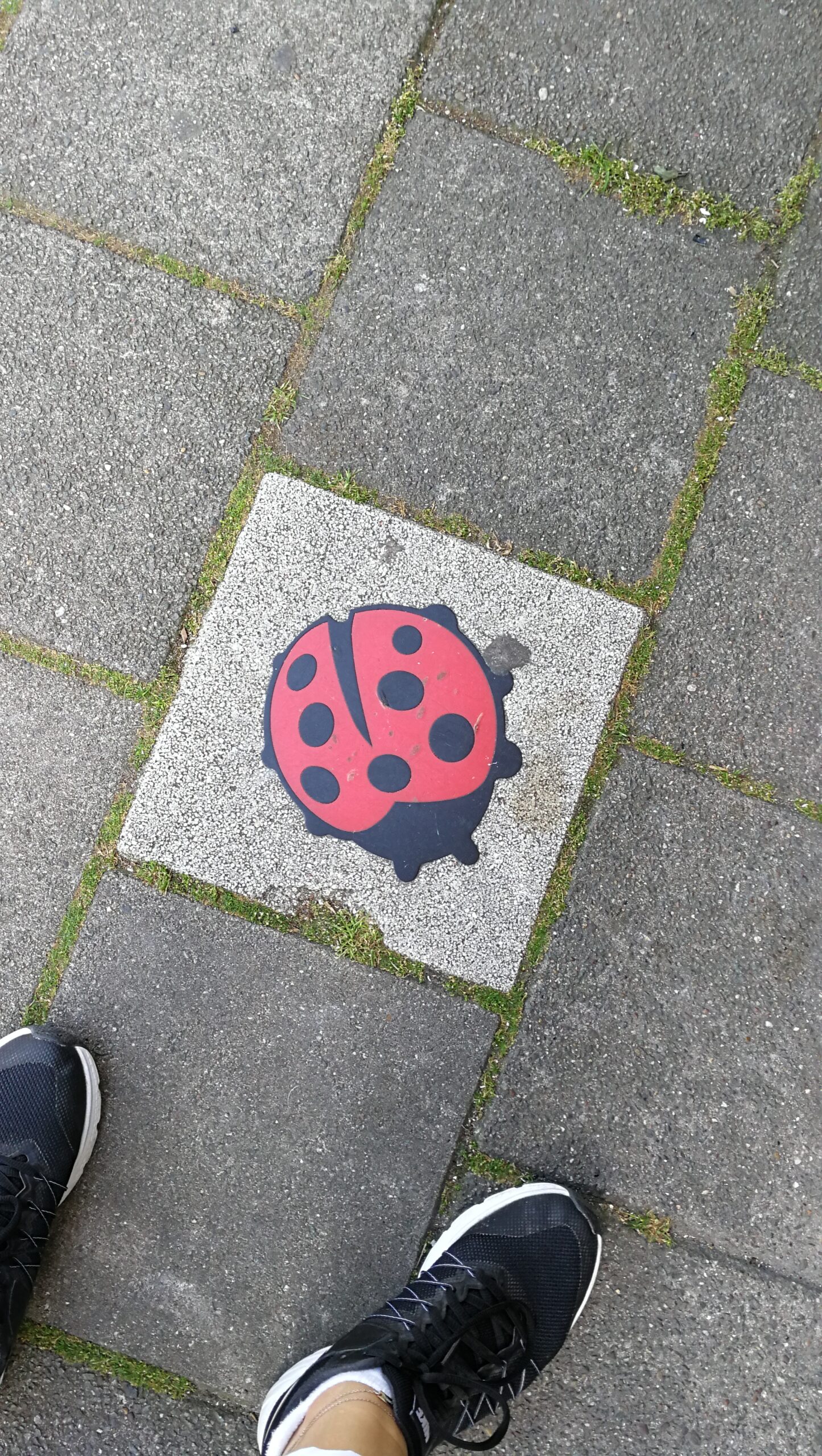 03IMG_20190722_143900