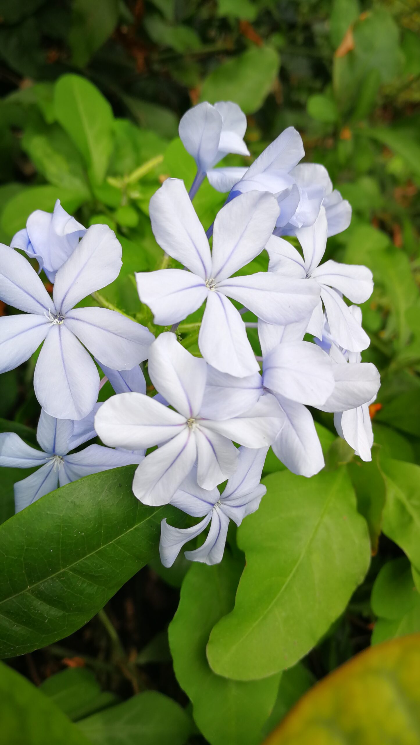 0407IMG_20190921_143824