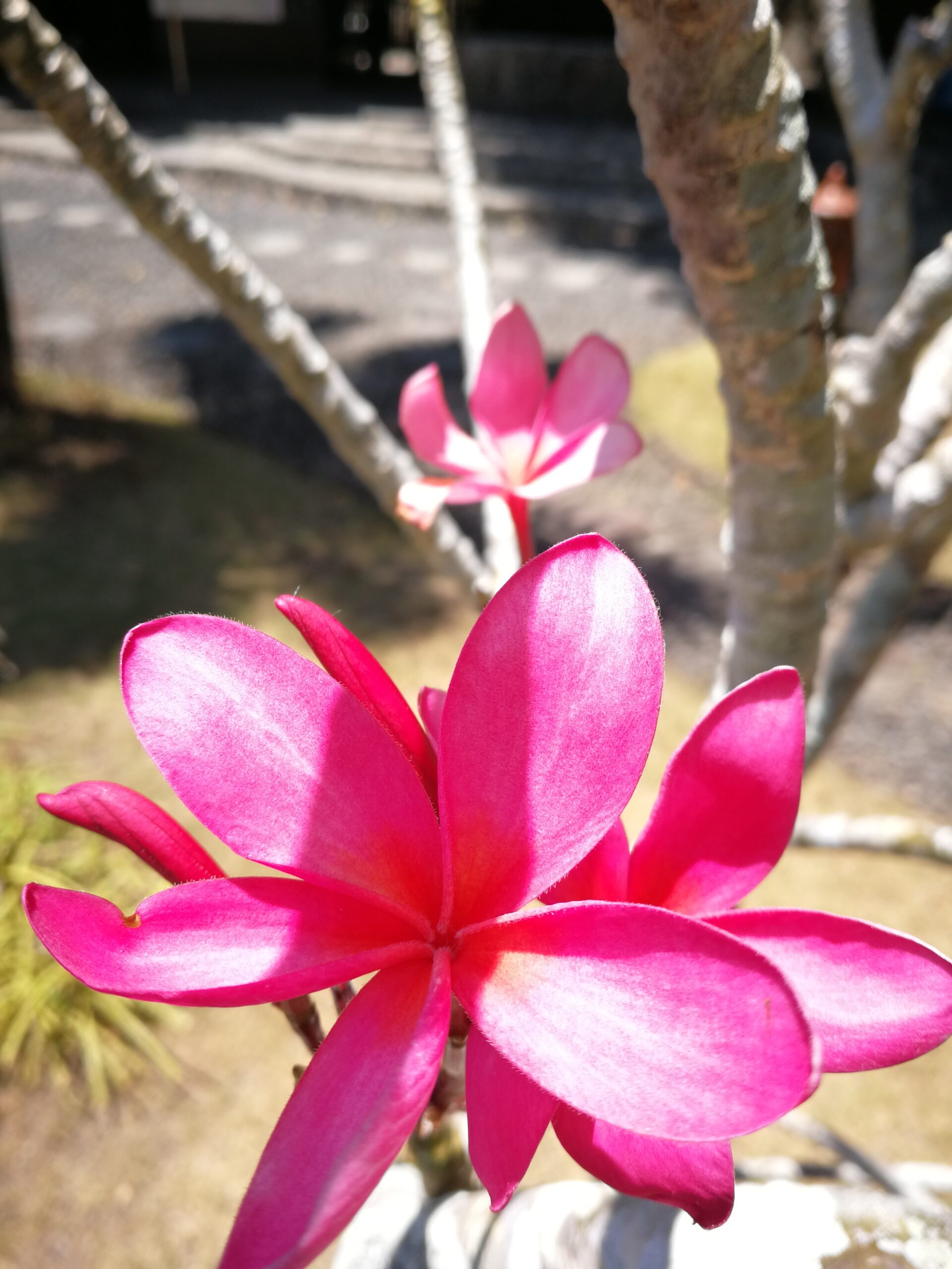 0407IMG_20190926_121004