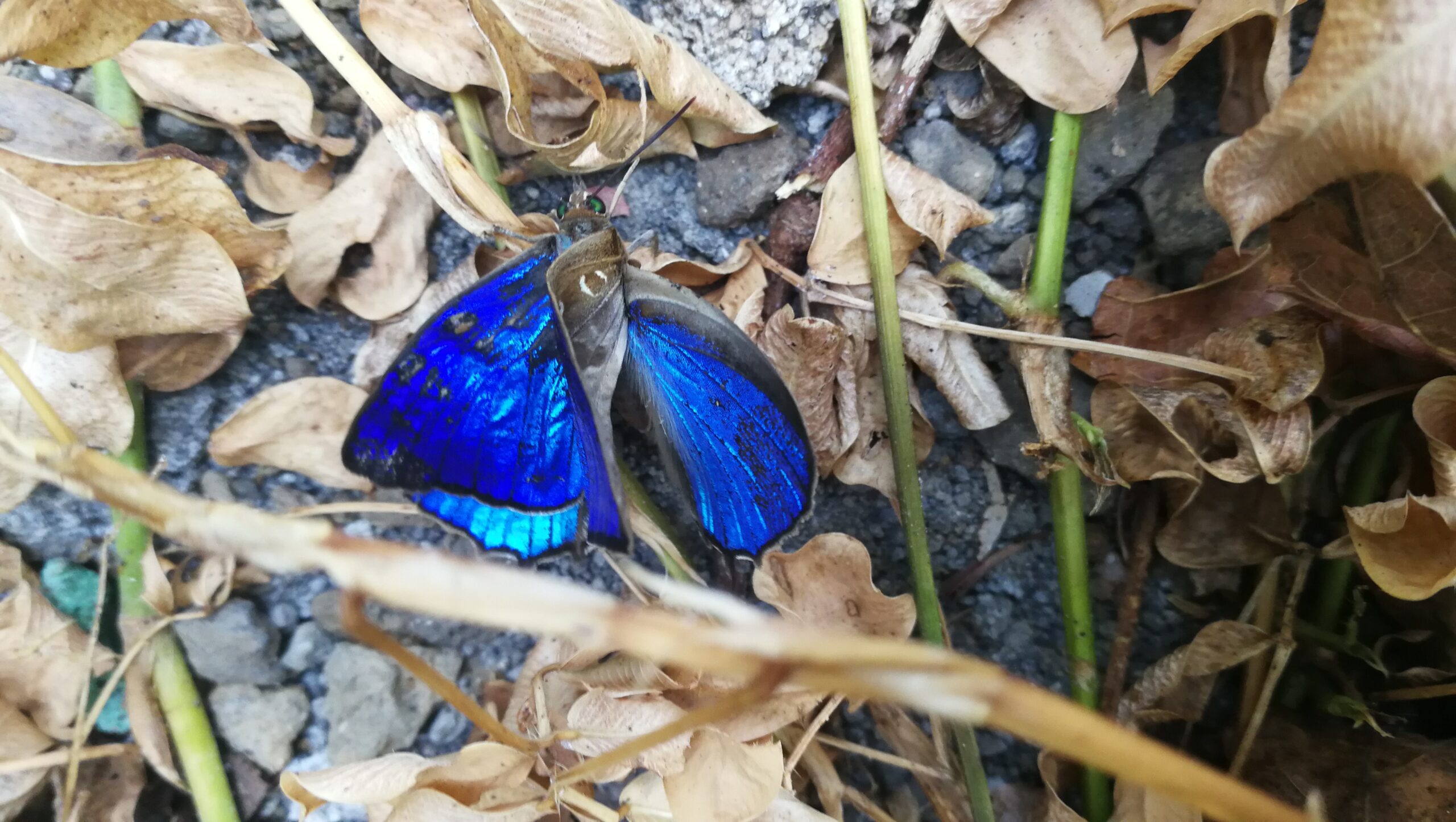 0410IMG_20190922_070729