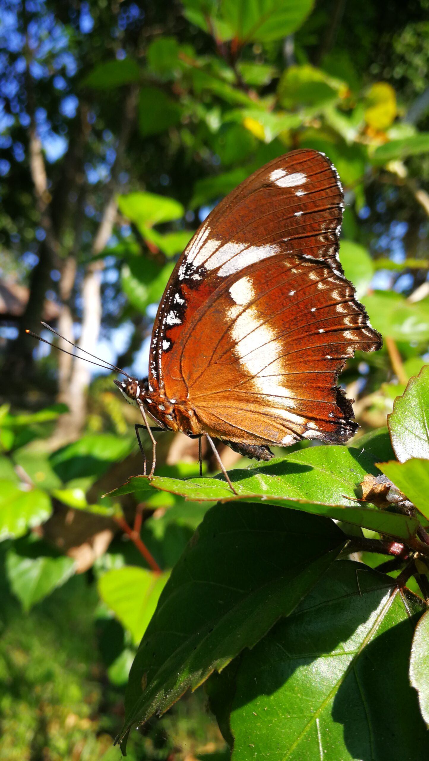 054IMG_20190914_081604