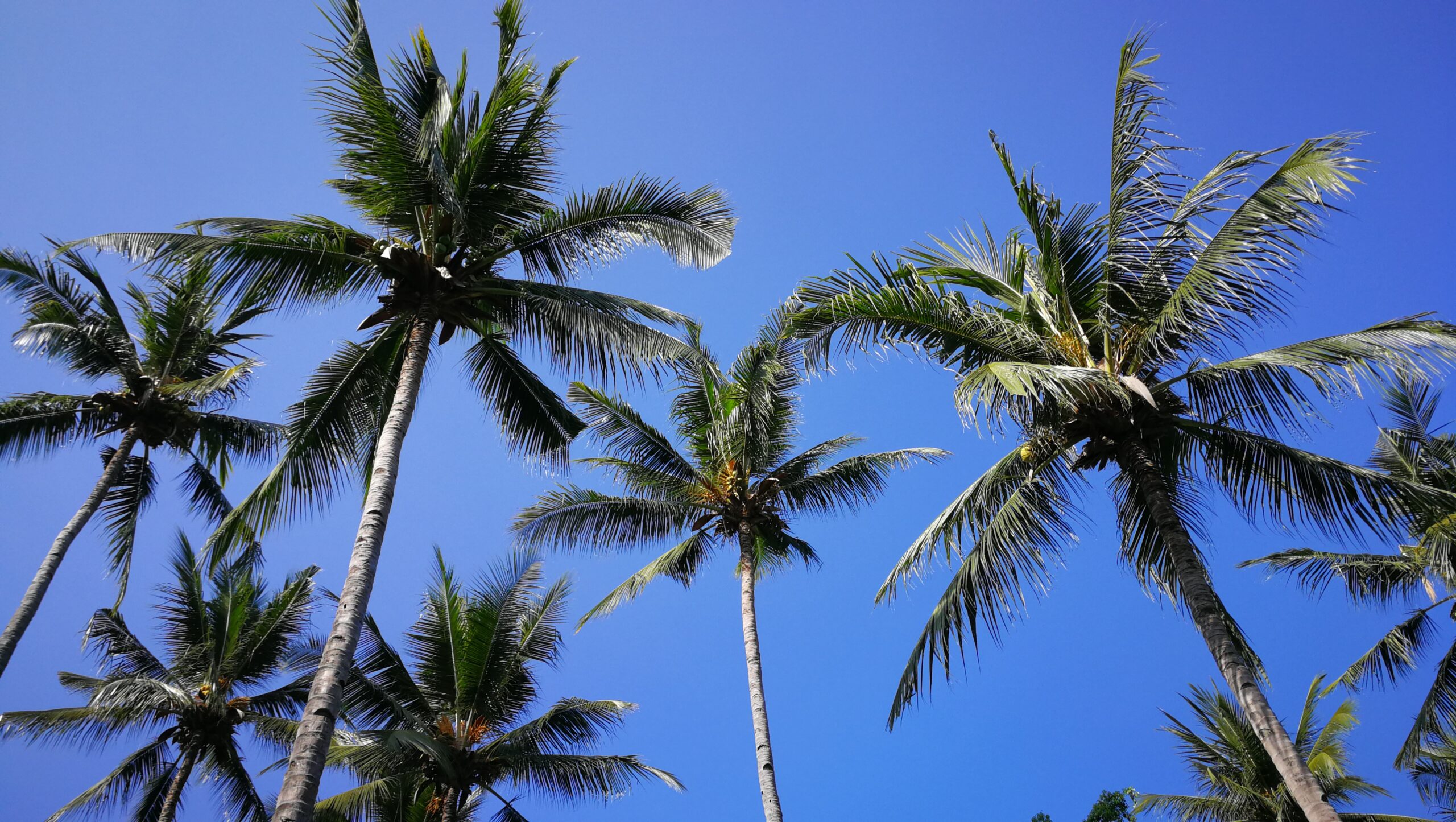 058IMG_20190914_081919