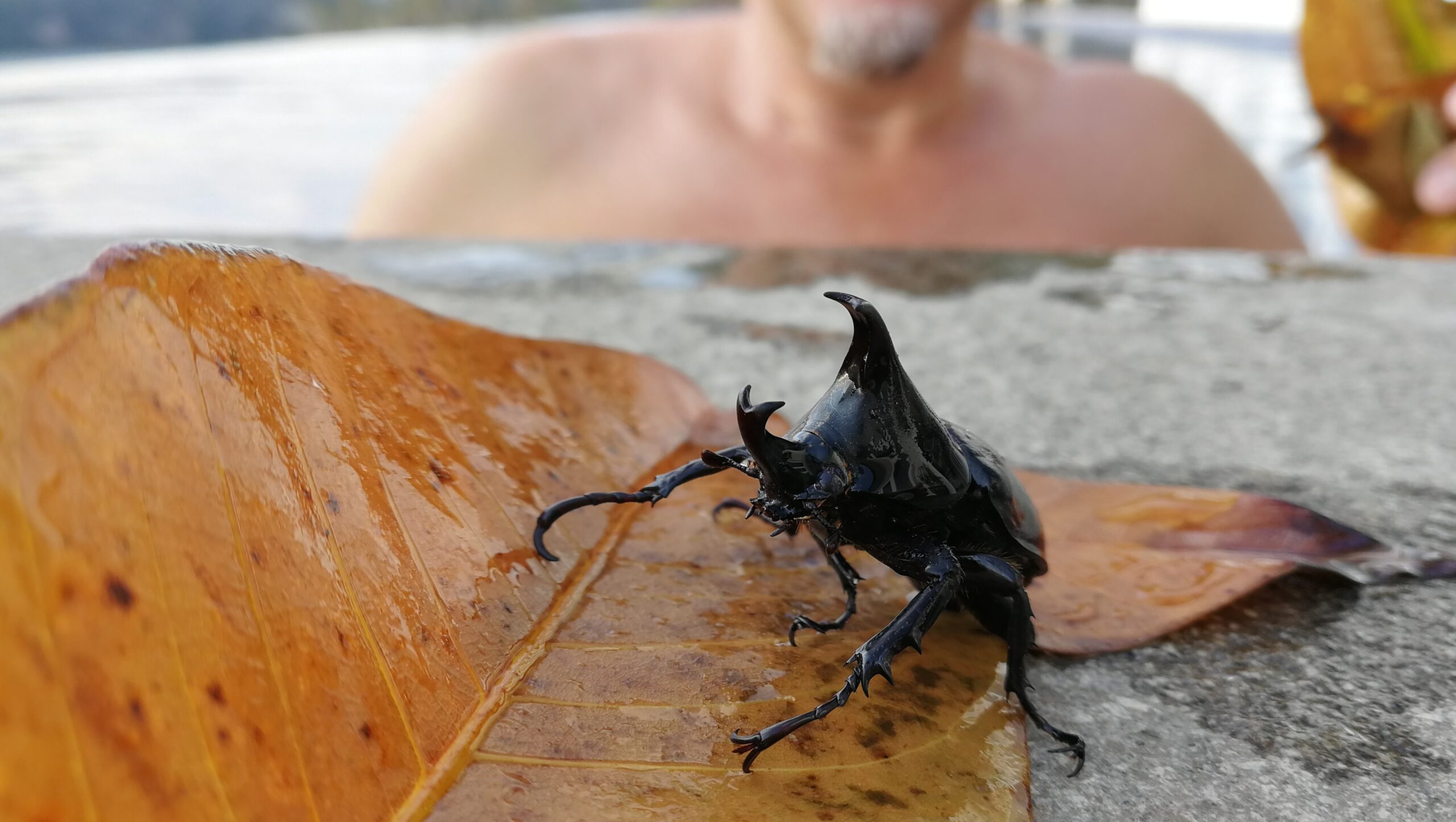 0620WIMG_20190922_163252