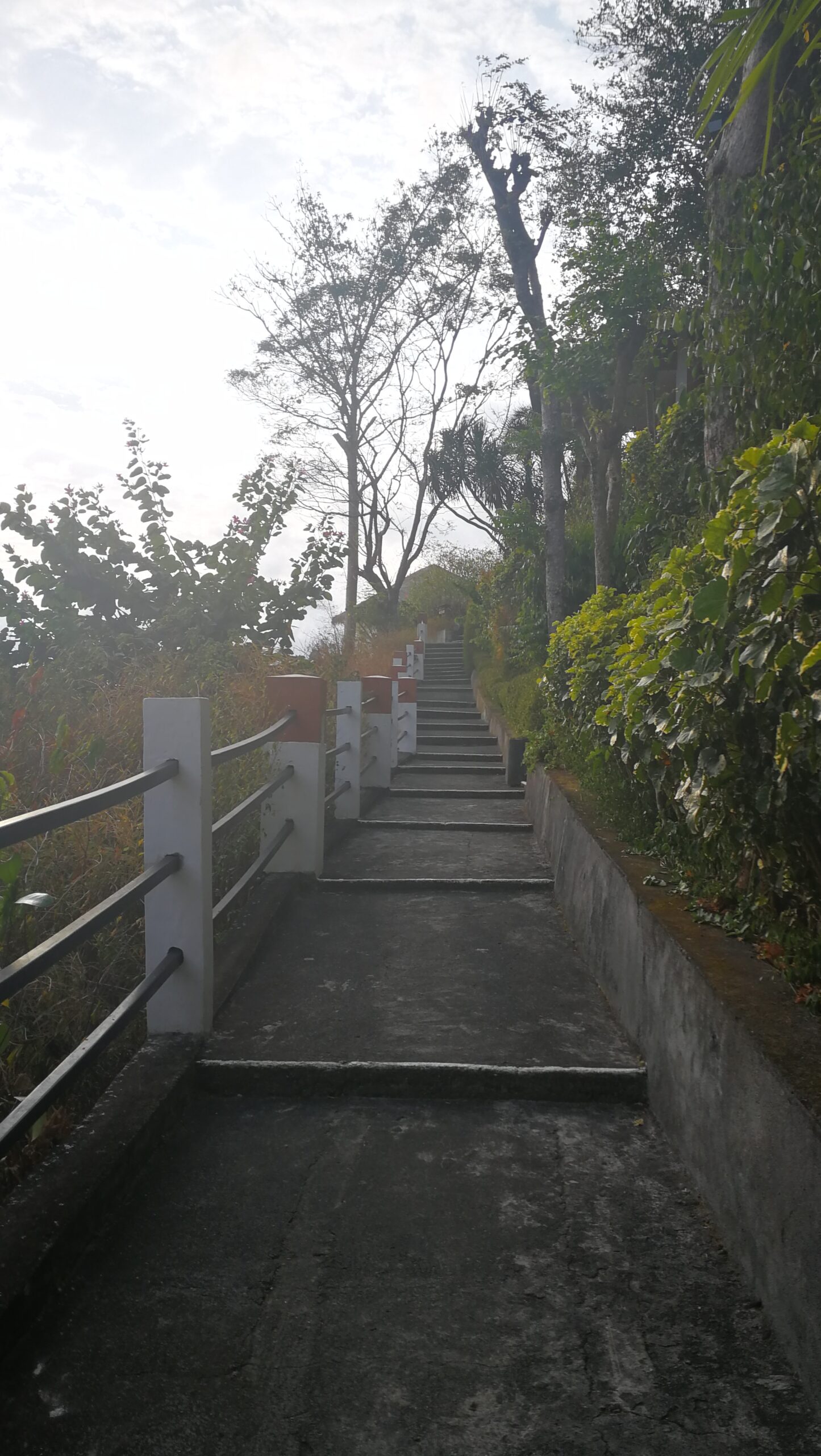 0620W_00IMG_20190921_163236