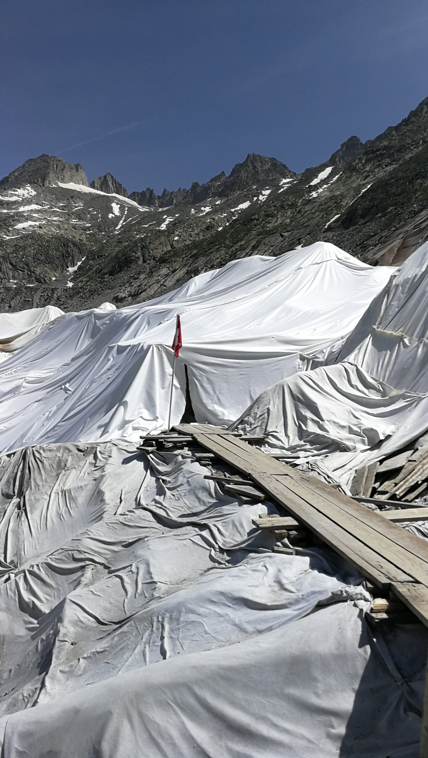 08IMG_20220618_113229