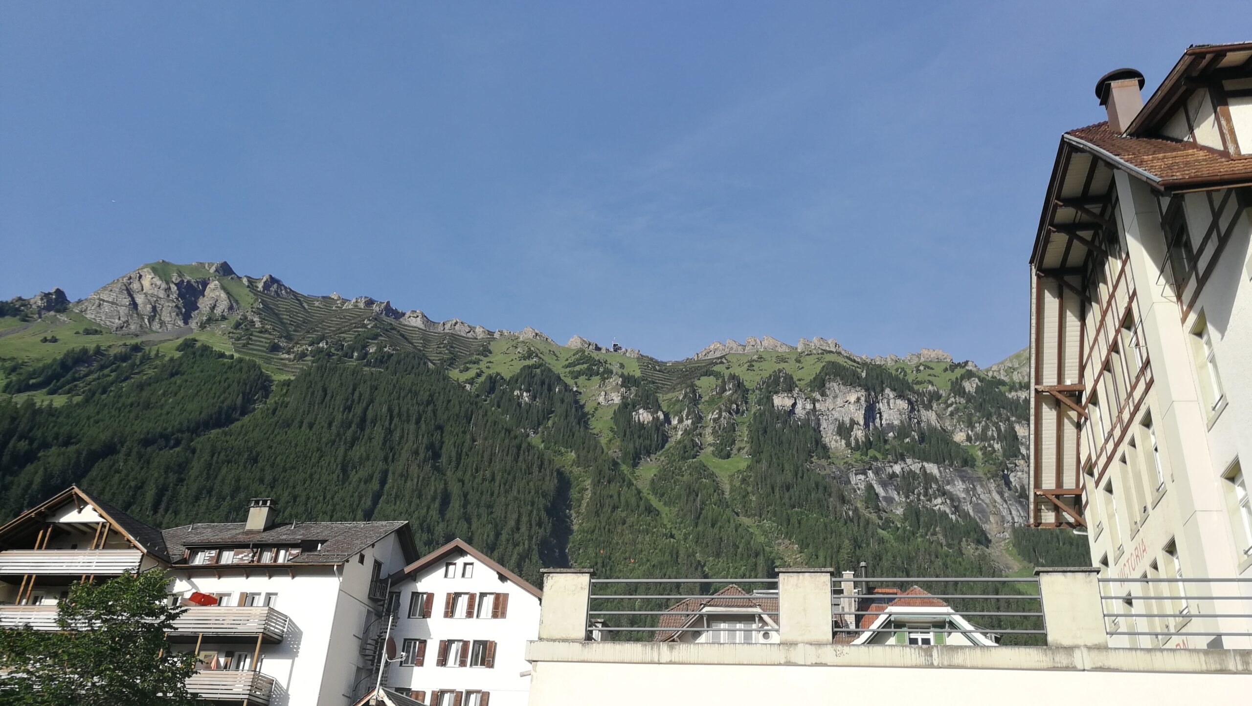 14IMG_20220617_191213