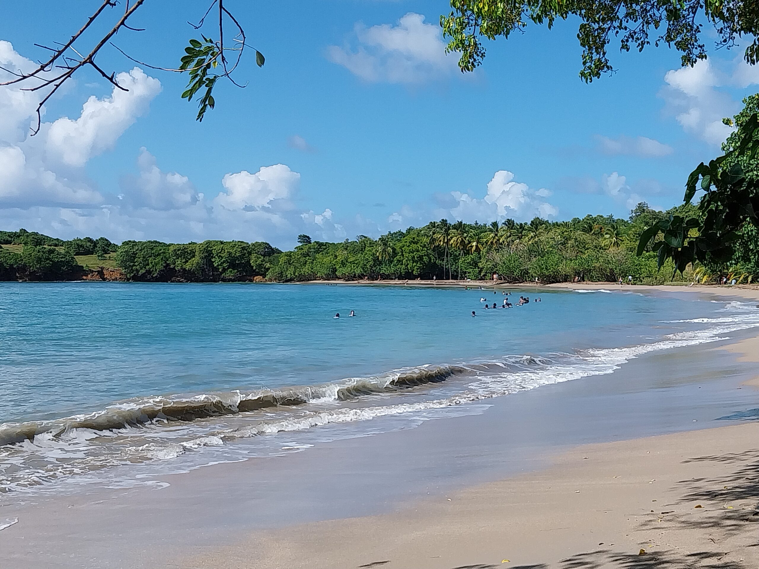 182_SB-MARTINIQUE-beach-presquile-caravelle