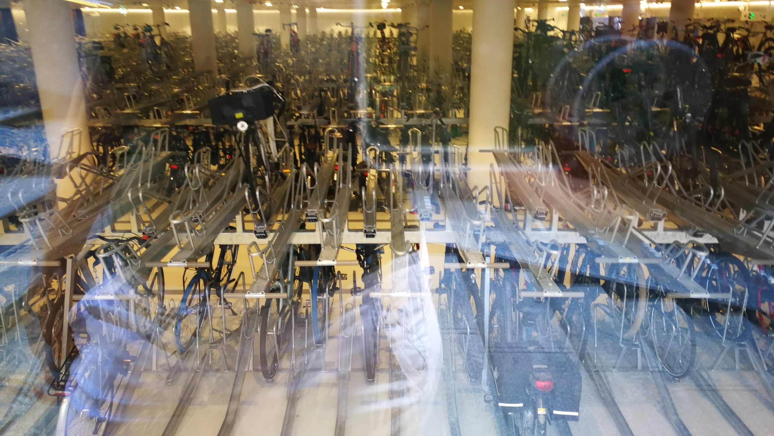 23IMG_20190723_103558