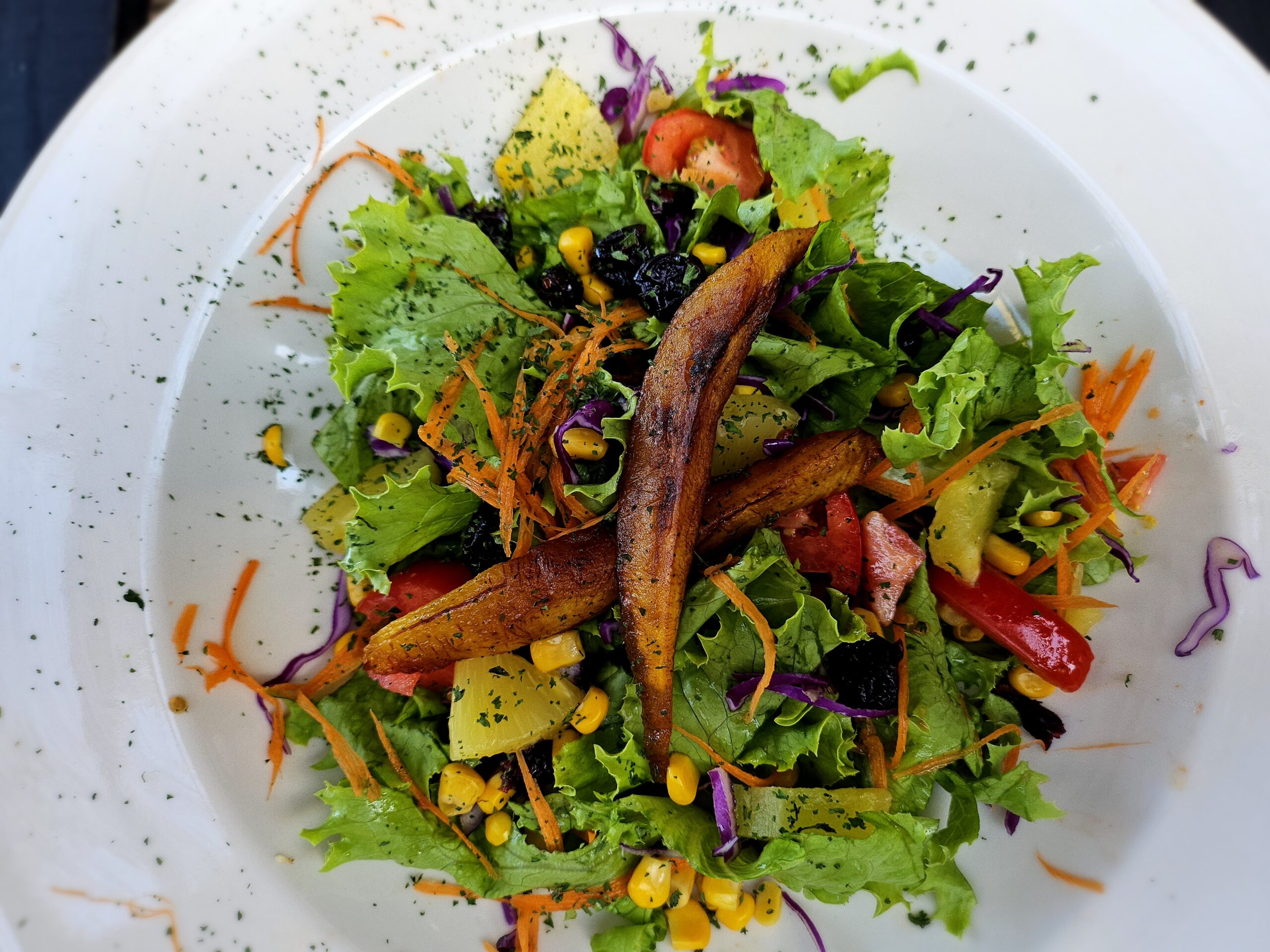 240b_20240330_144742