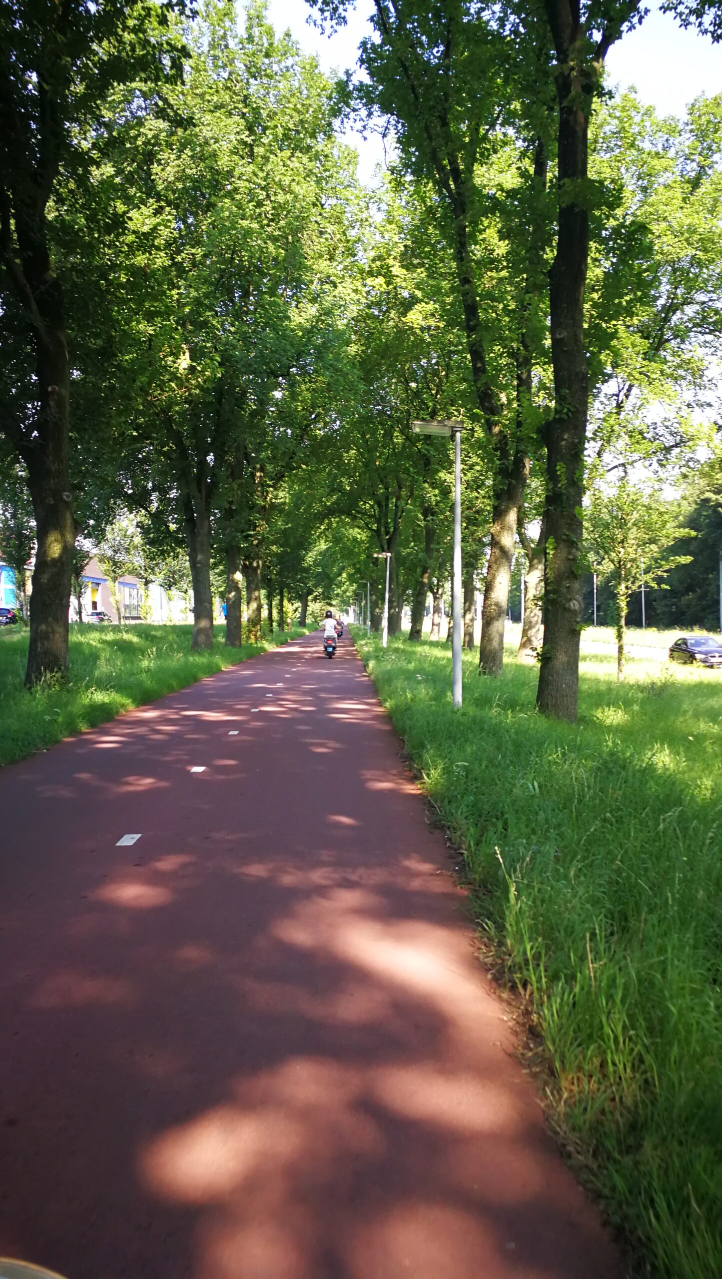 33IMG_20190724_102238