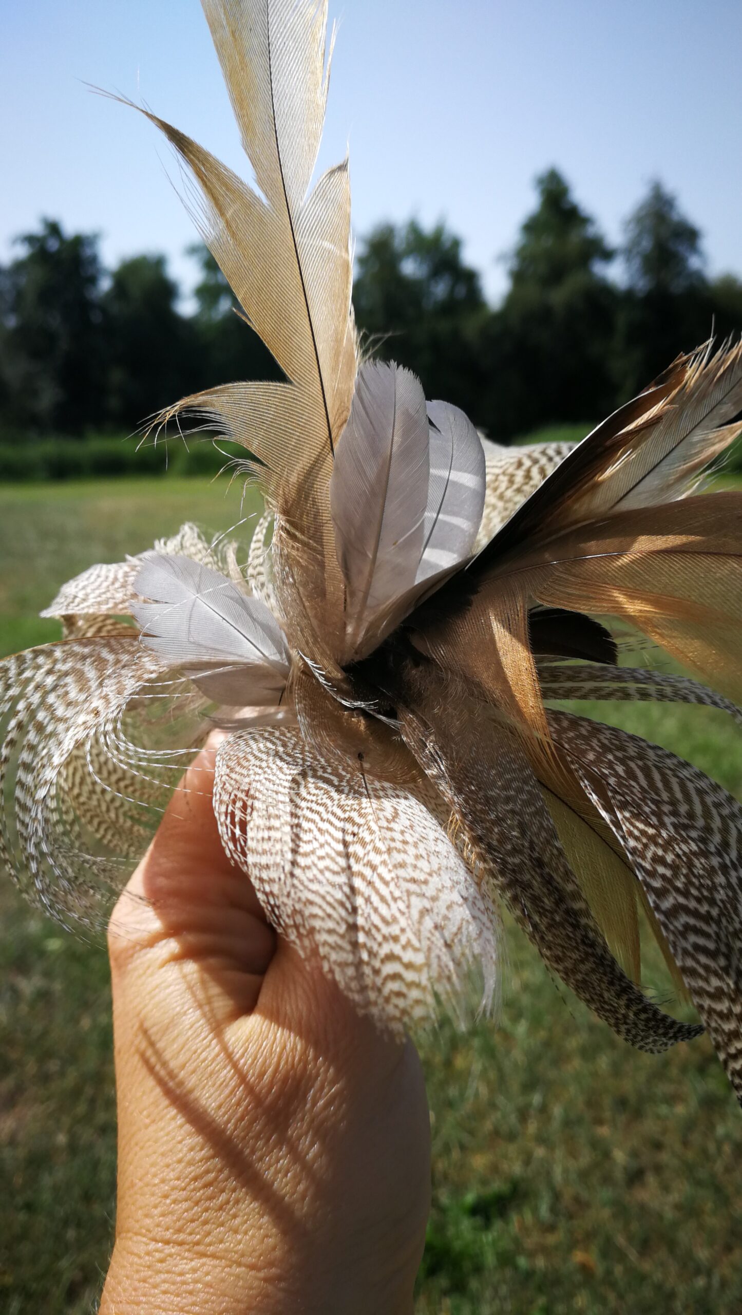 35IMG_20190724_112312