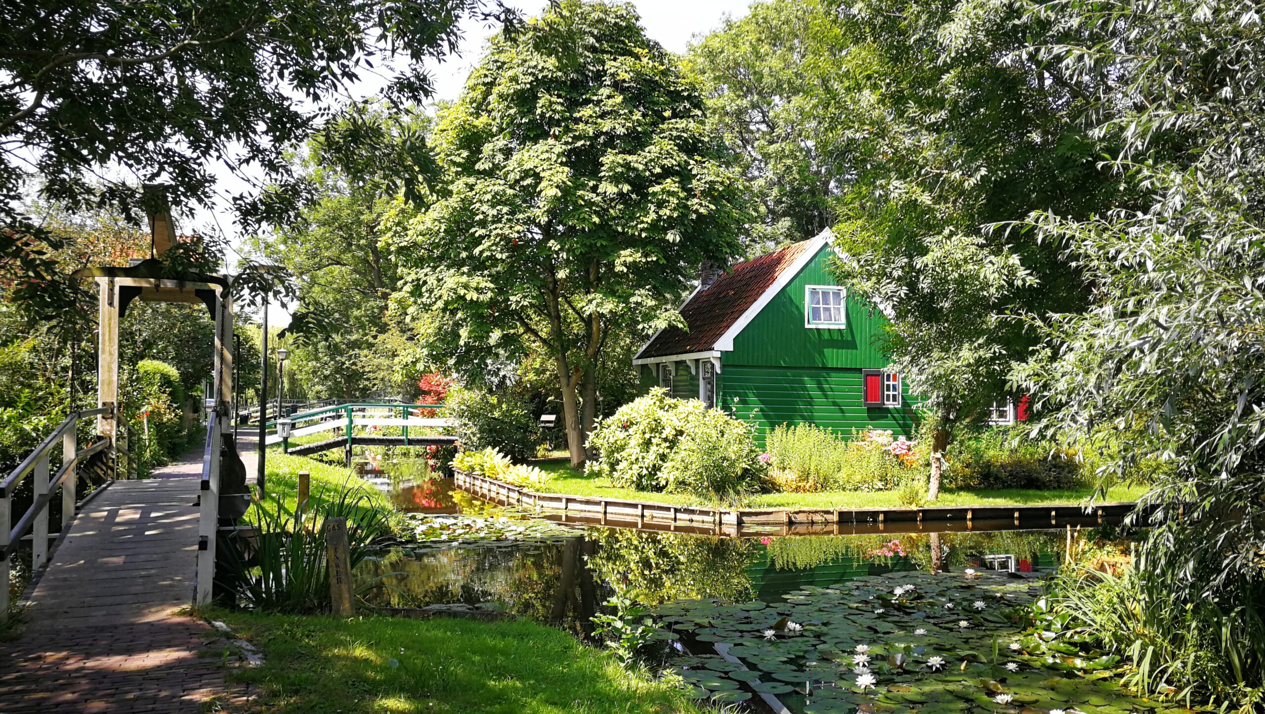 35IMG_20190724_120411