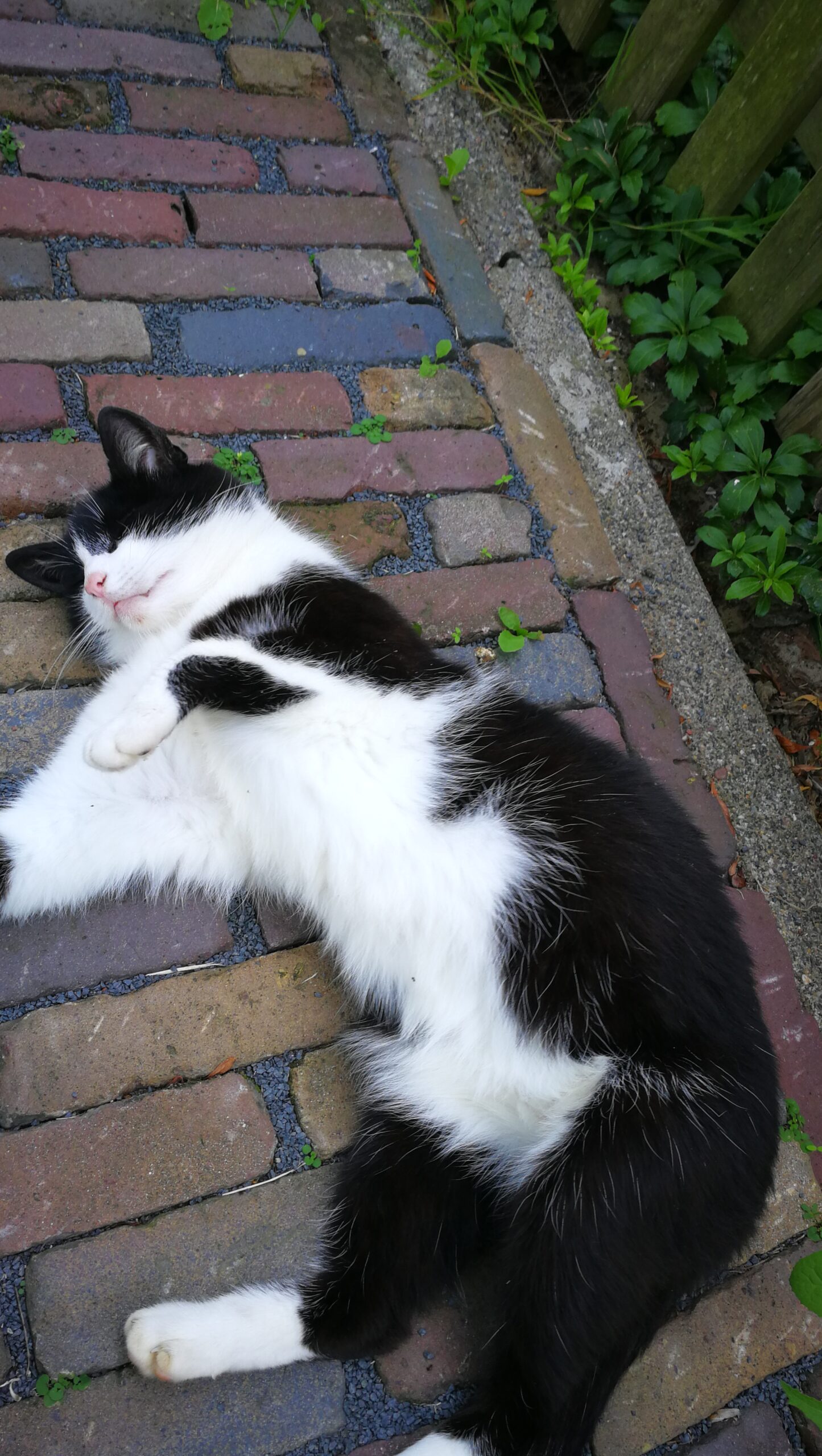 35IMG_20190724_120715