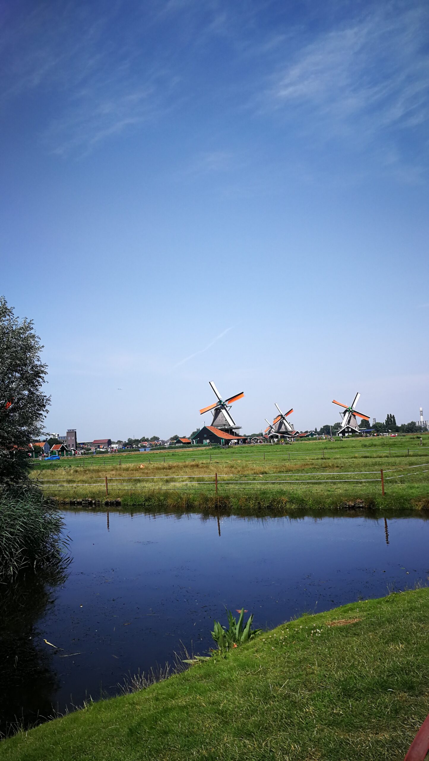 38IMG_20190724_124022