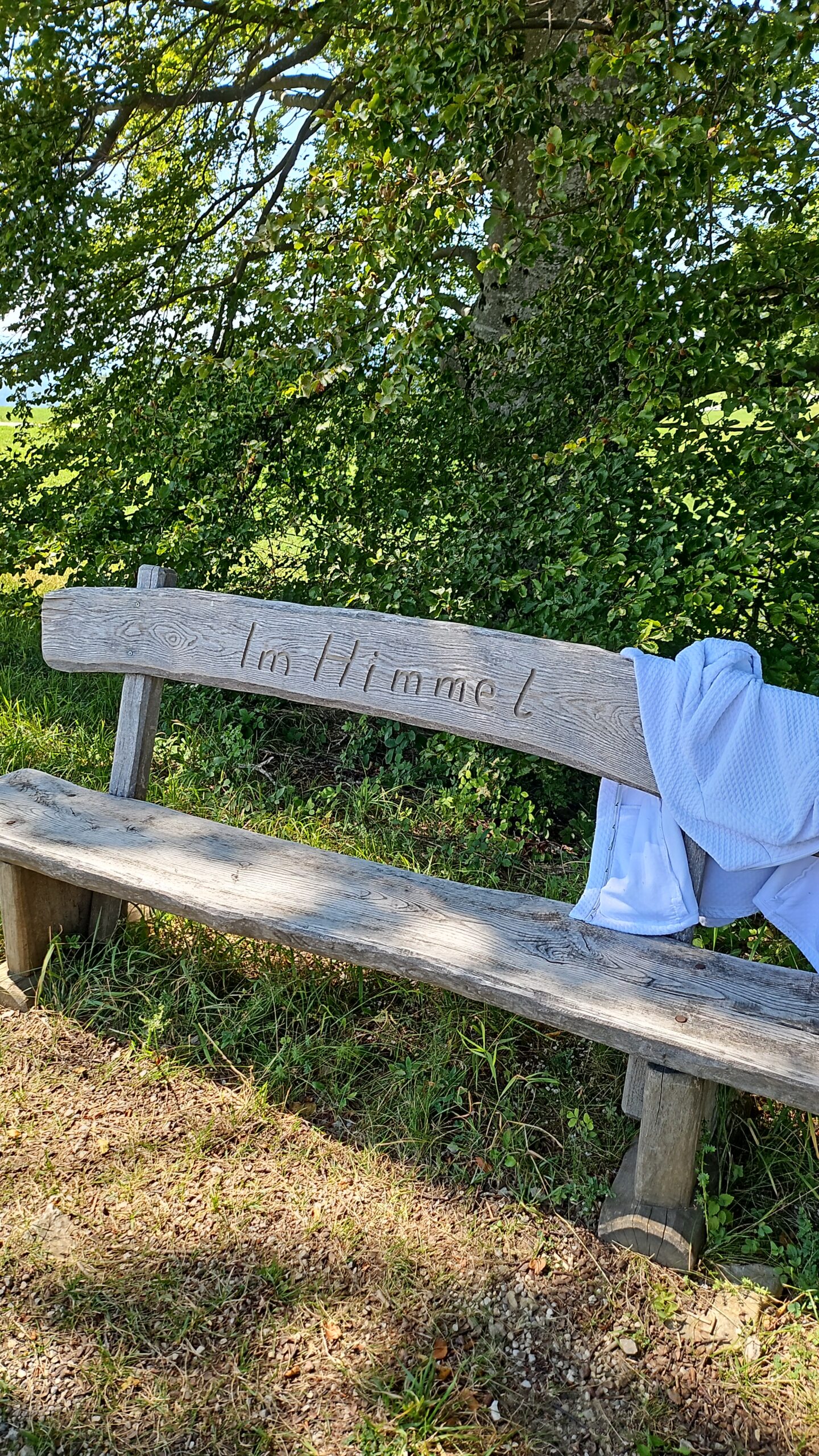 399_IMG-20240824-WA0004