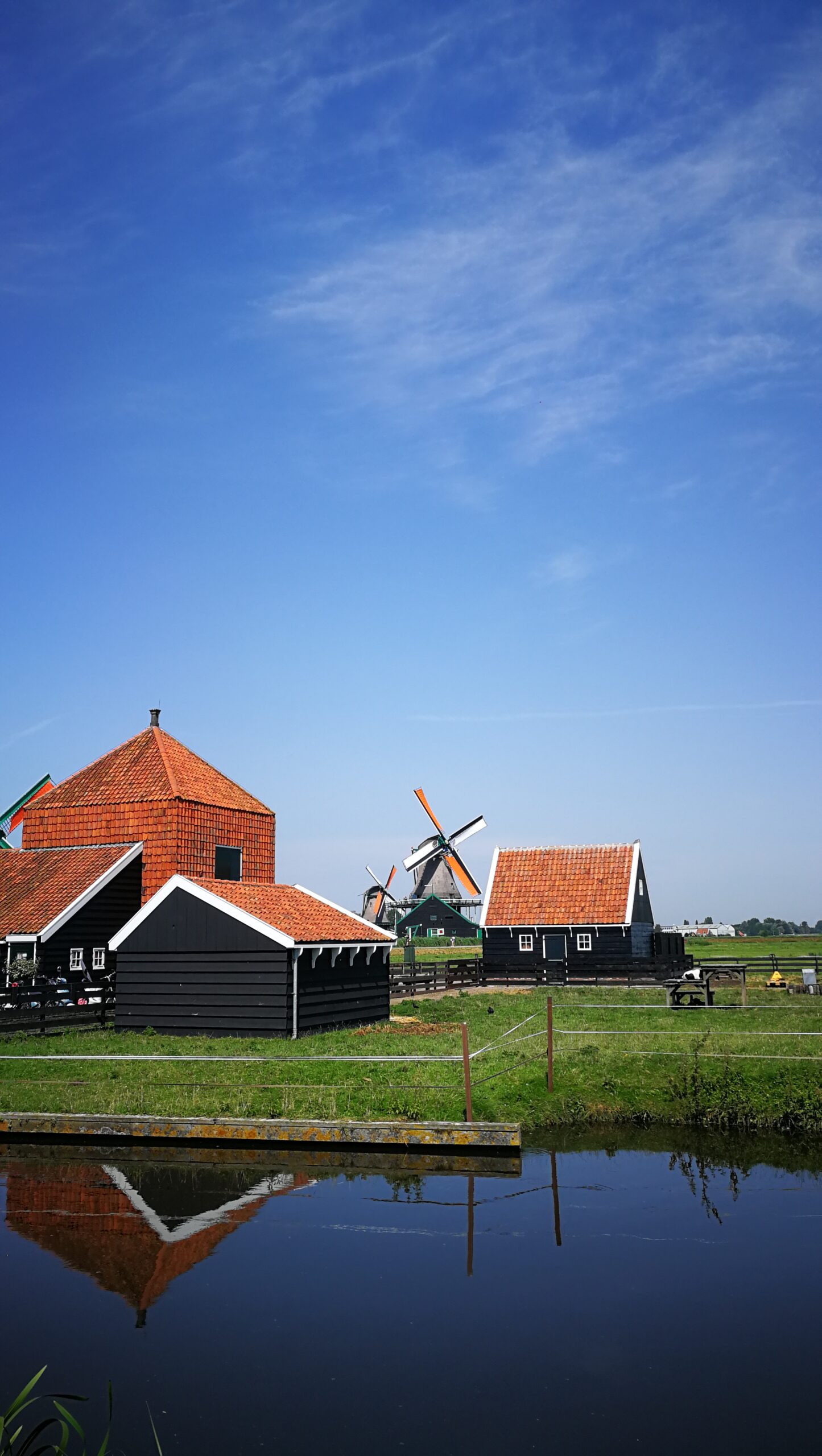 40IMG_20190724_124230