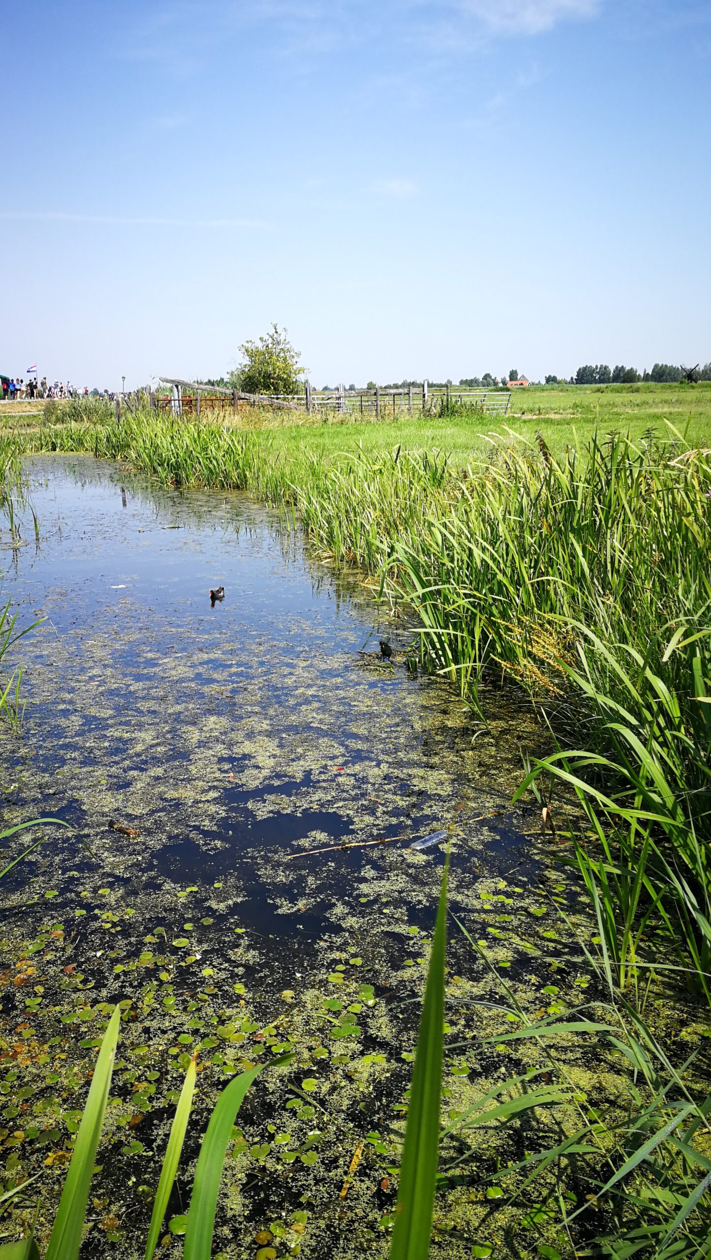 42IMG_20190724_125848