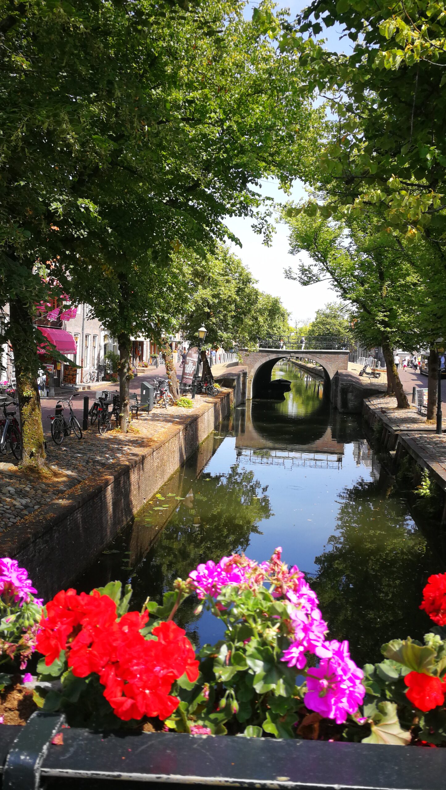 46IMG_20190724_143651