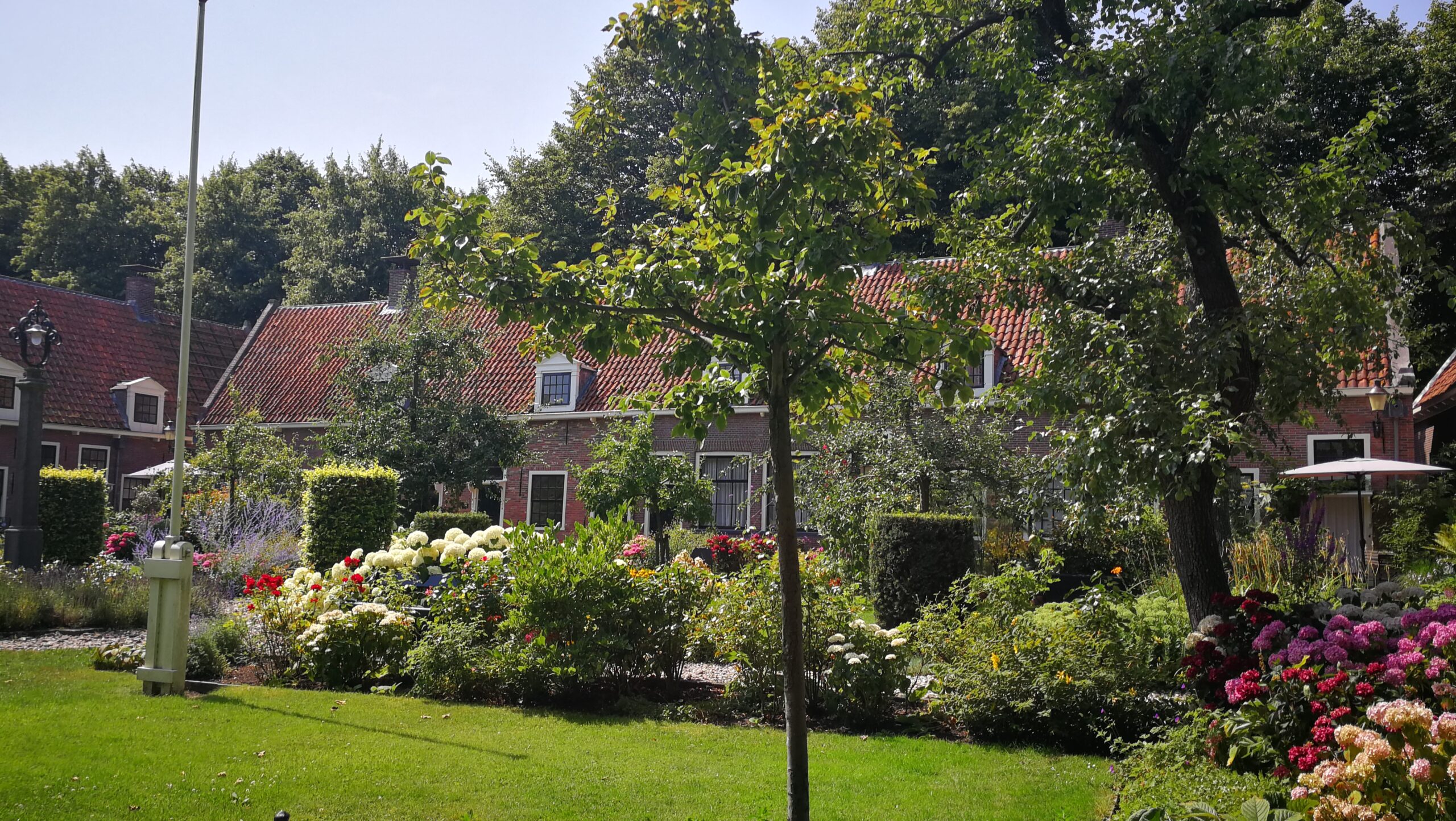 46IMG_20190724_143938