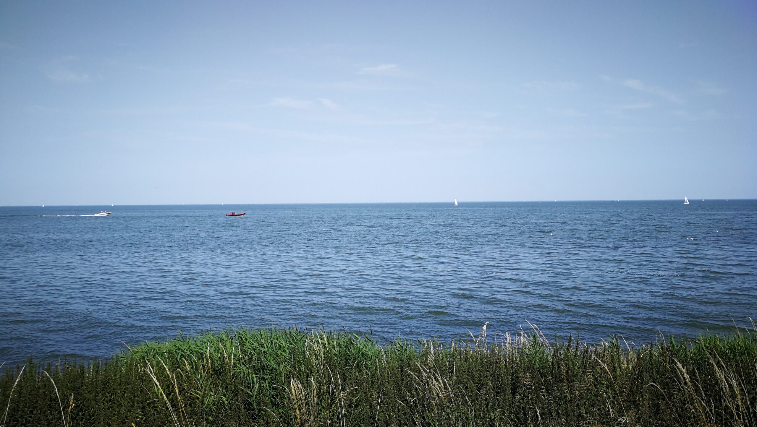 48IMG_20190724_153328