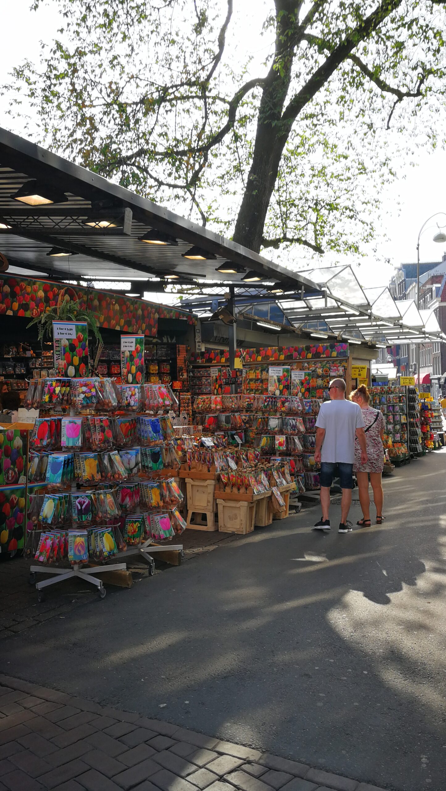 58IMG_20190725_093708