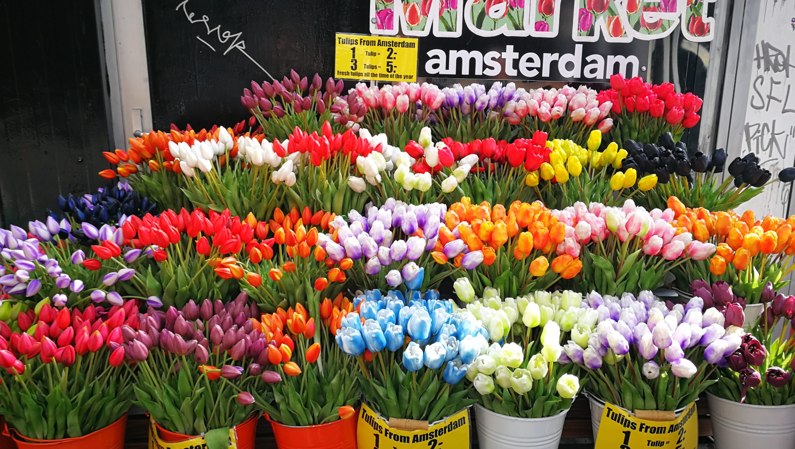 58IMG_20190725_093747