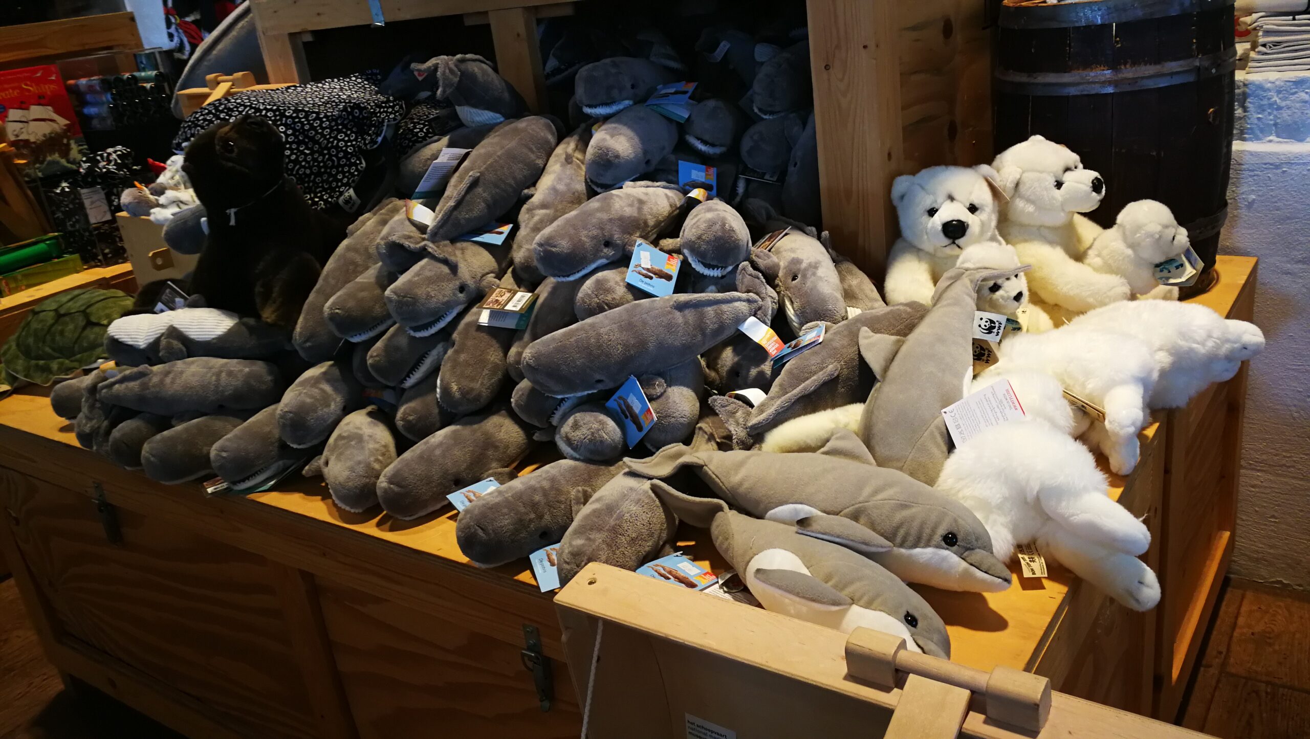 64IMG_20190725_151103