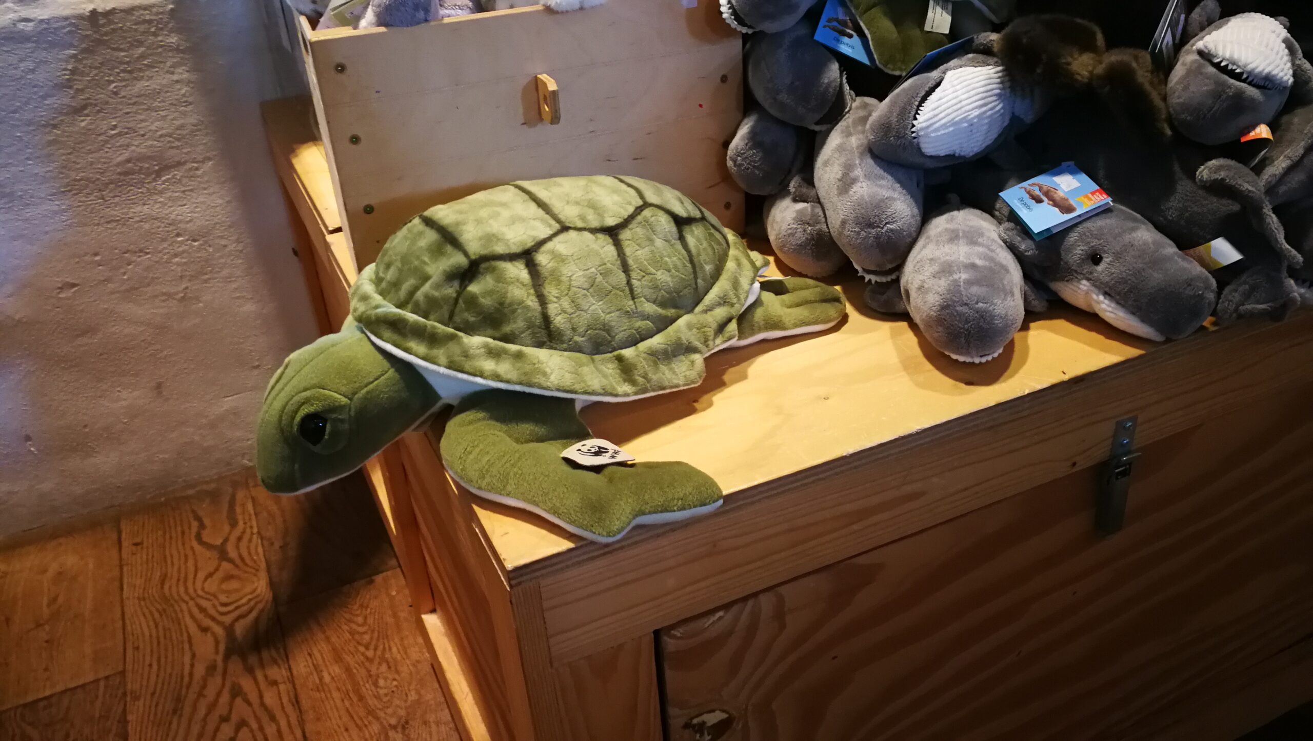 64IMG_20190725_151112