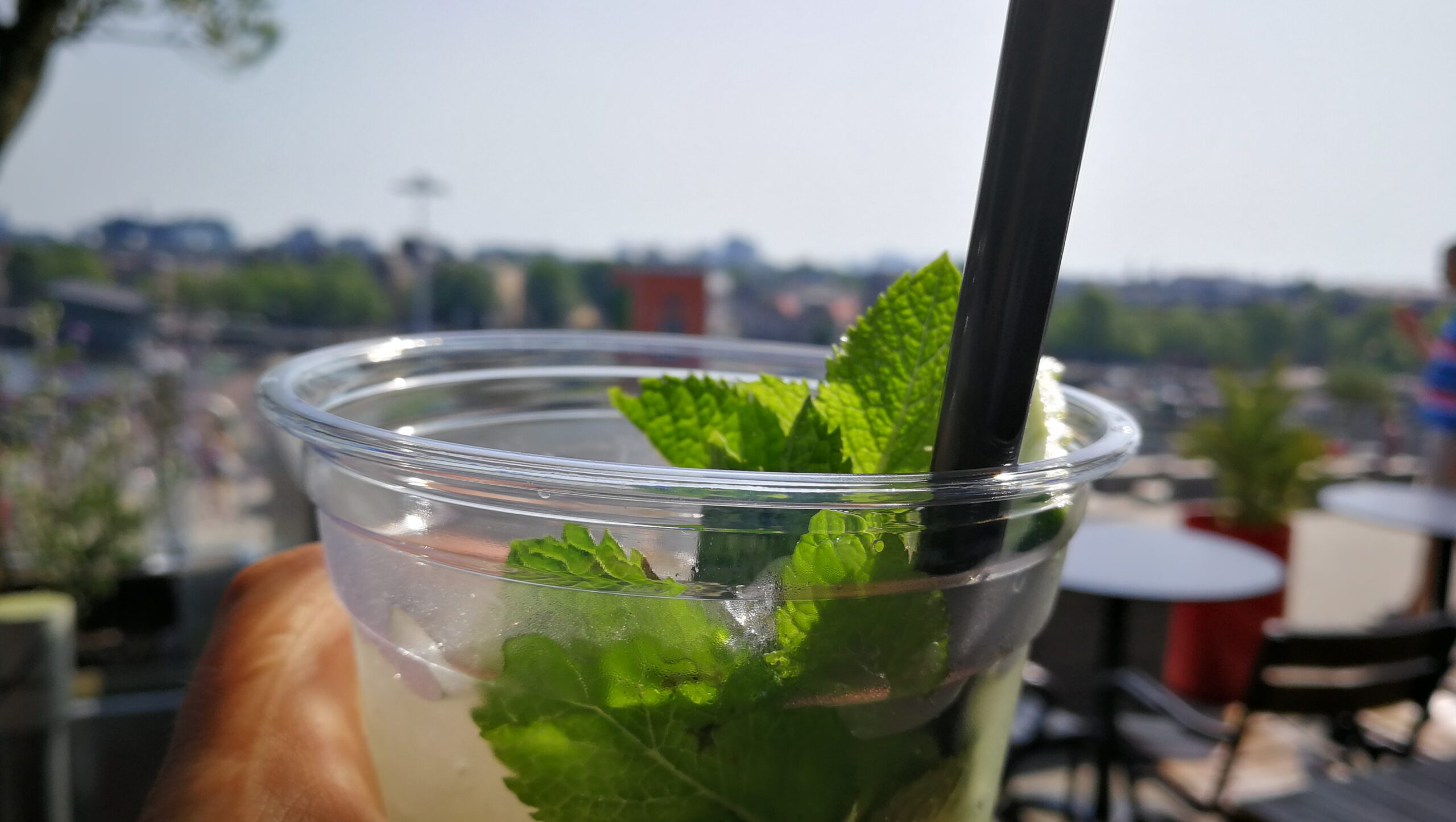 74IMG_20190725_164445