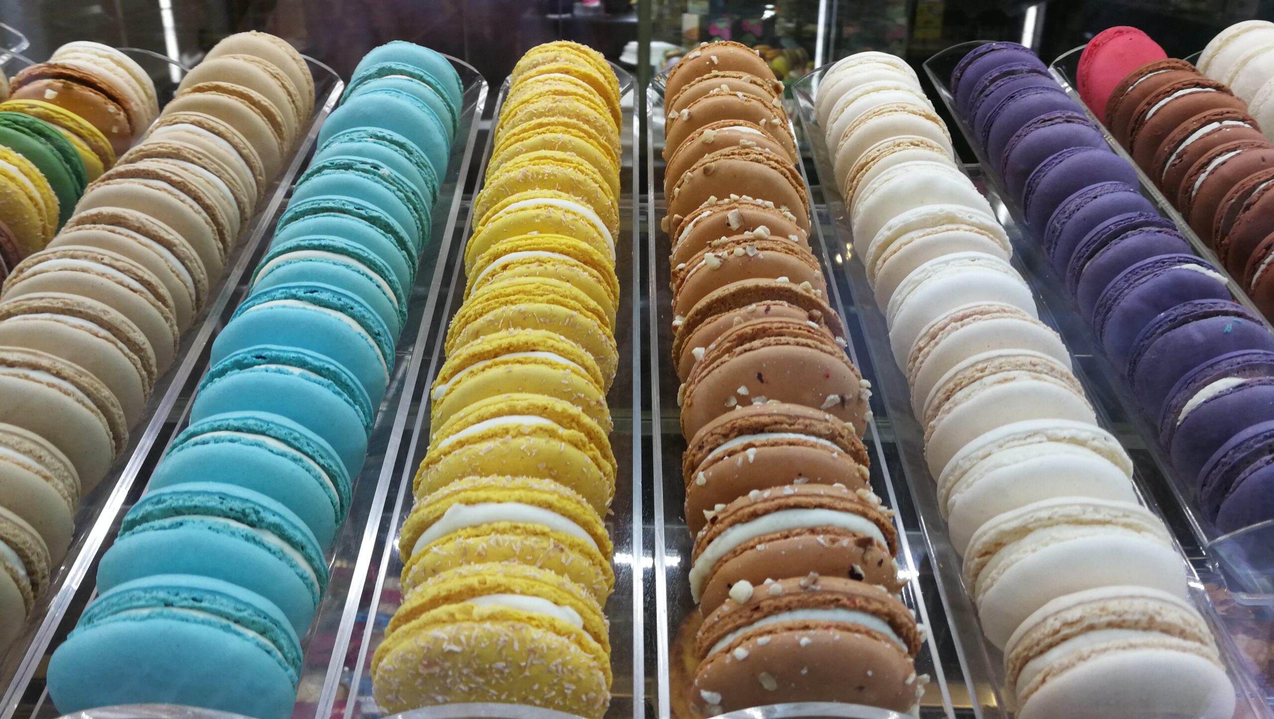 IMG_5032_IMG_20210615_190229