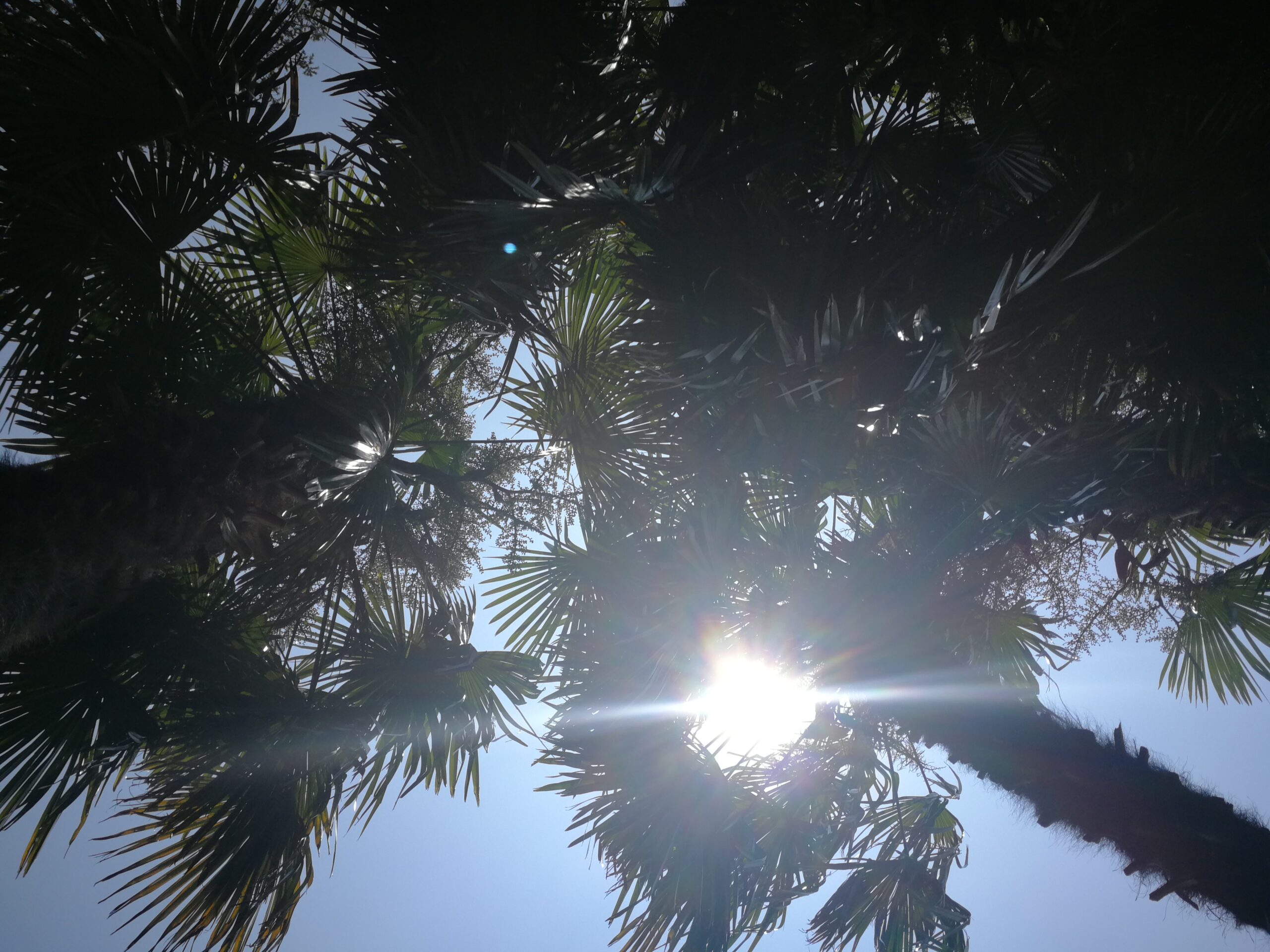 IMG_5304_IMG_20210617_124044