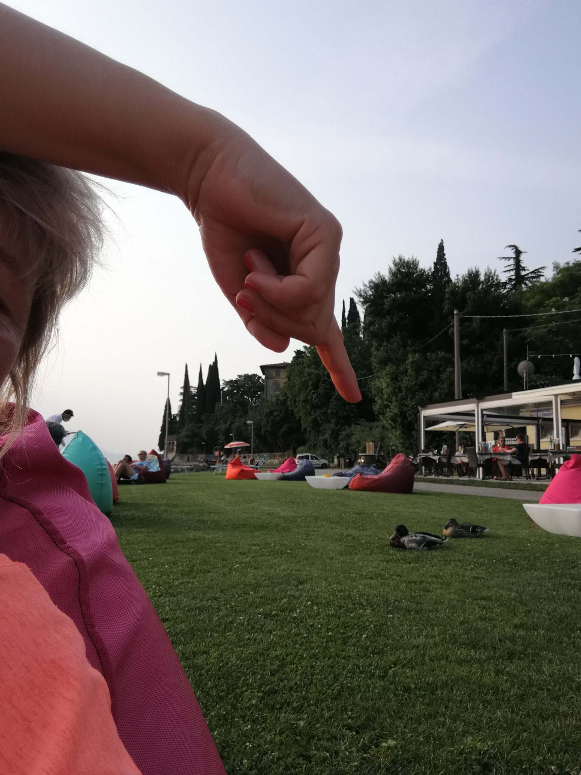 IMG_5337_IMG_20210617_185738