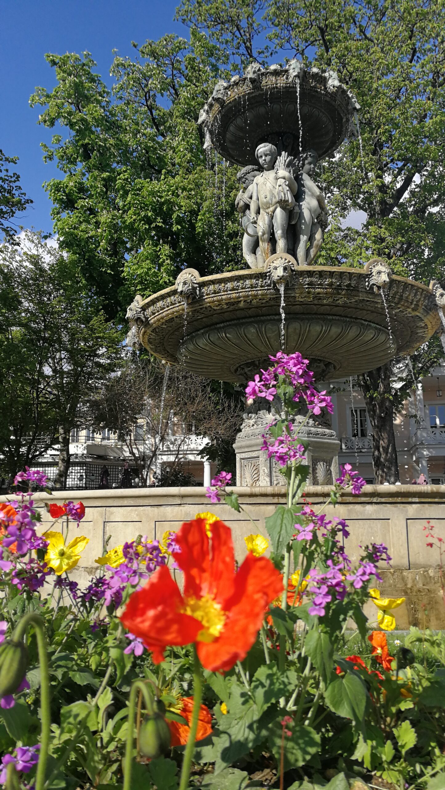 IMG_7351IMG_20220409_170015