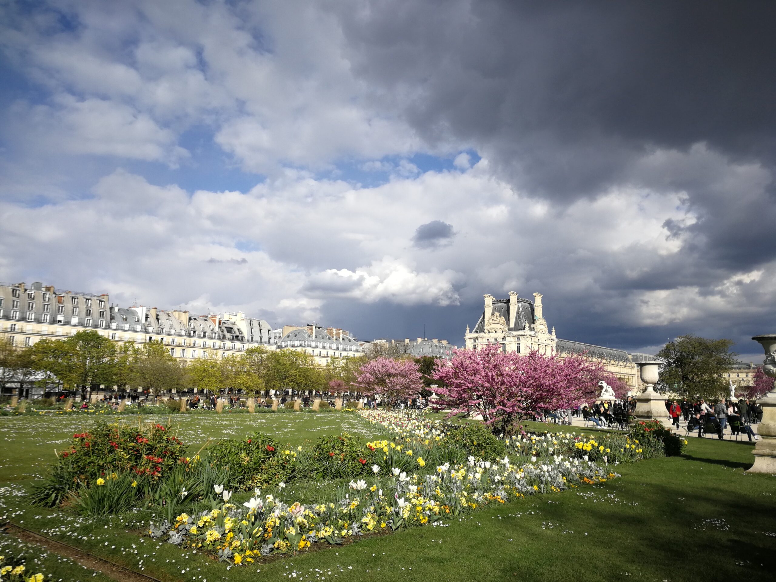 IMG_7373_IMG_20220409_174413