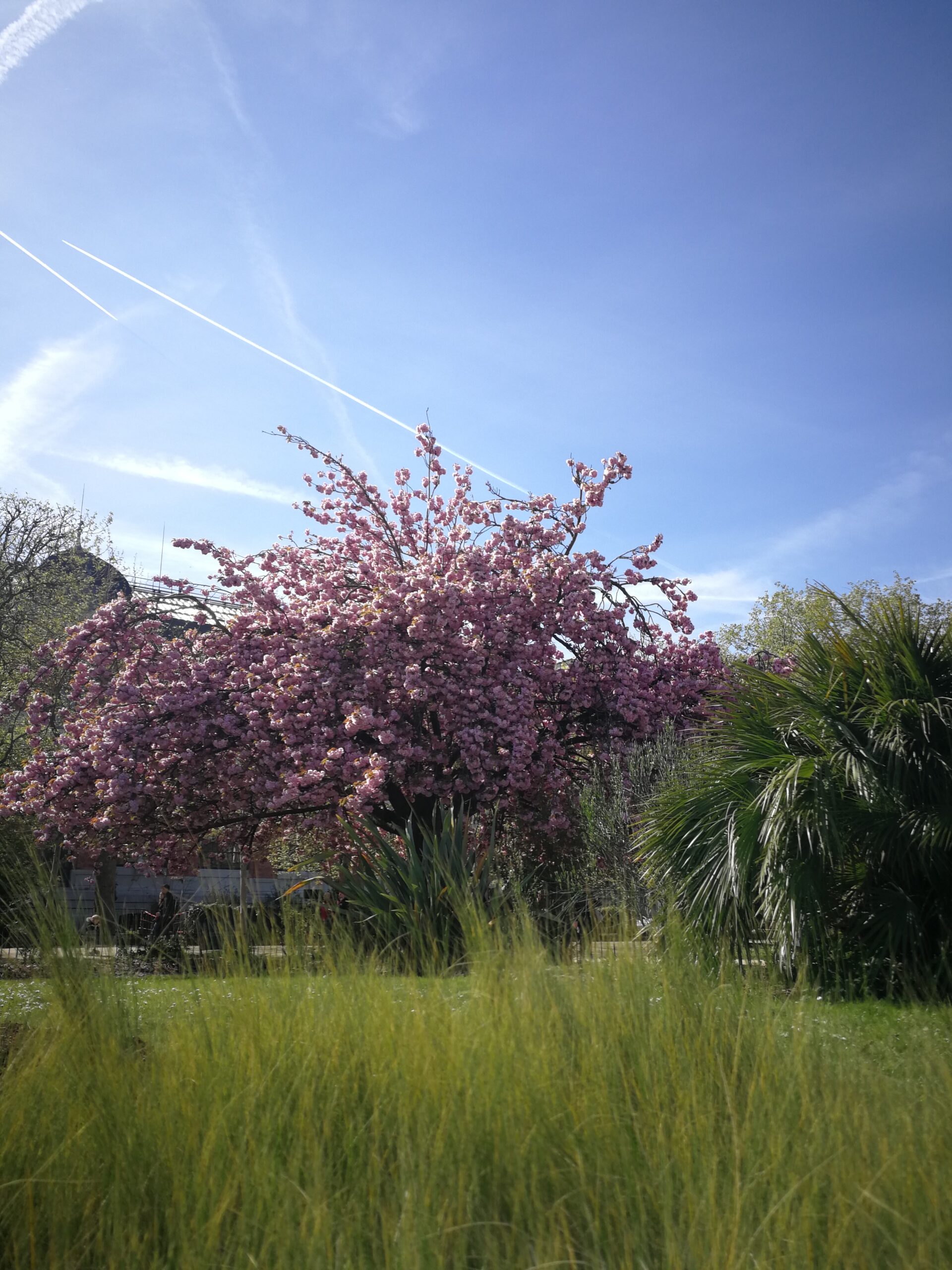 IMG_7454_IMG_20220410_114325