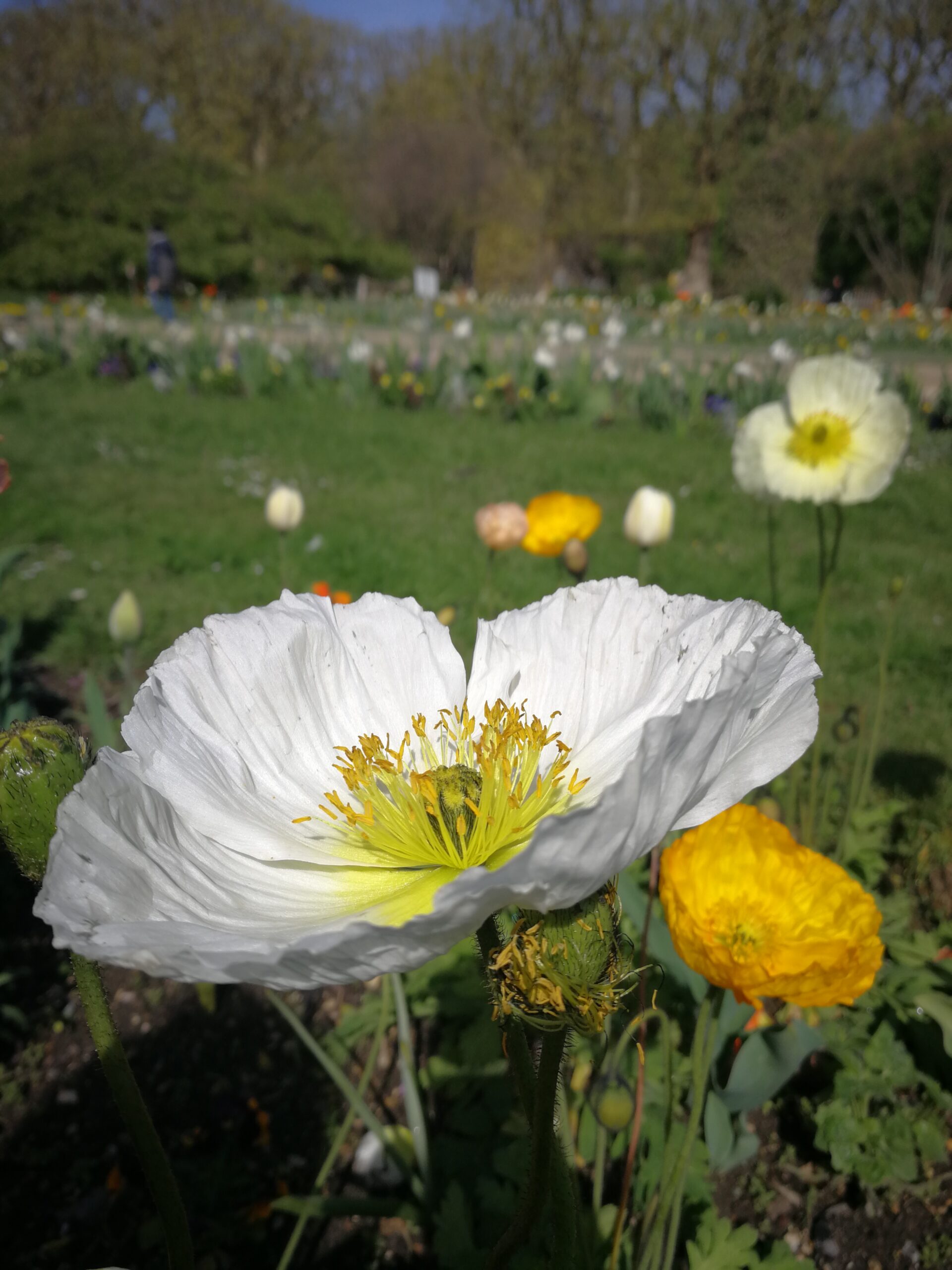 IMG_7456_IMG_20220410_114529