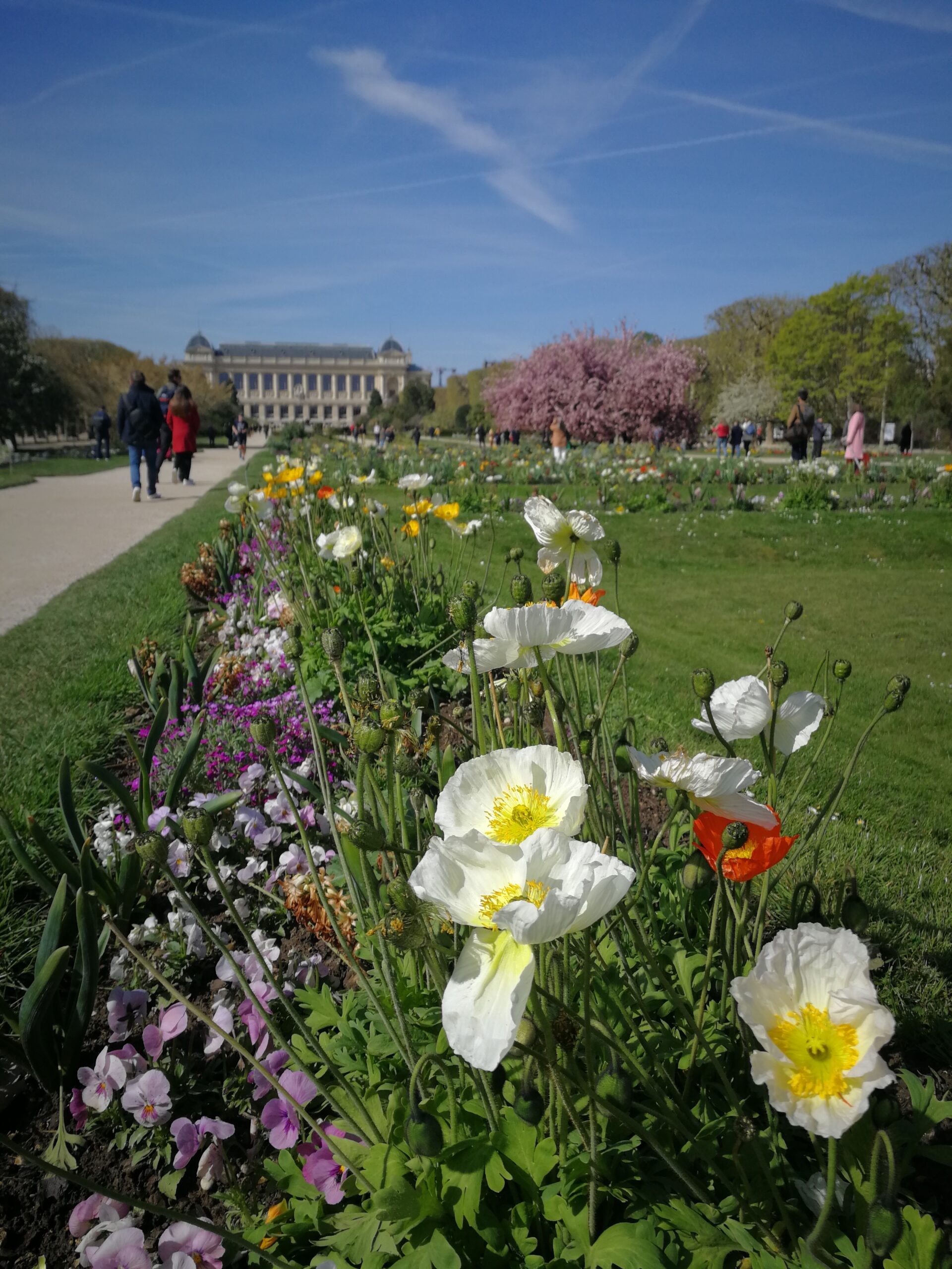 IMG_7462_IMG_20220410_114622