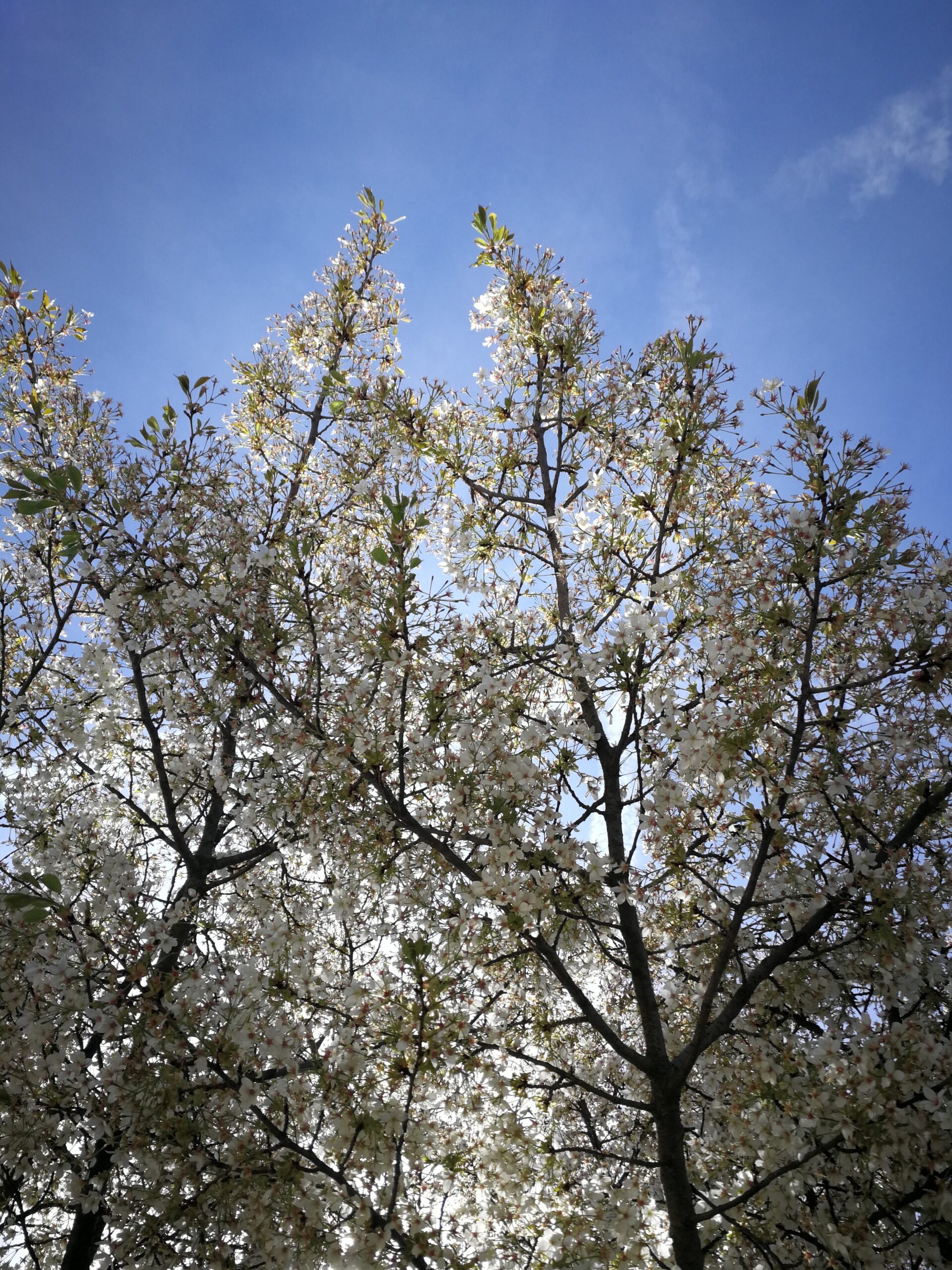 IMG_7463_IMG_20220410_114801