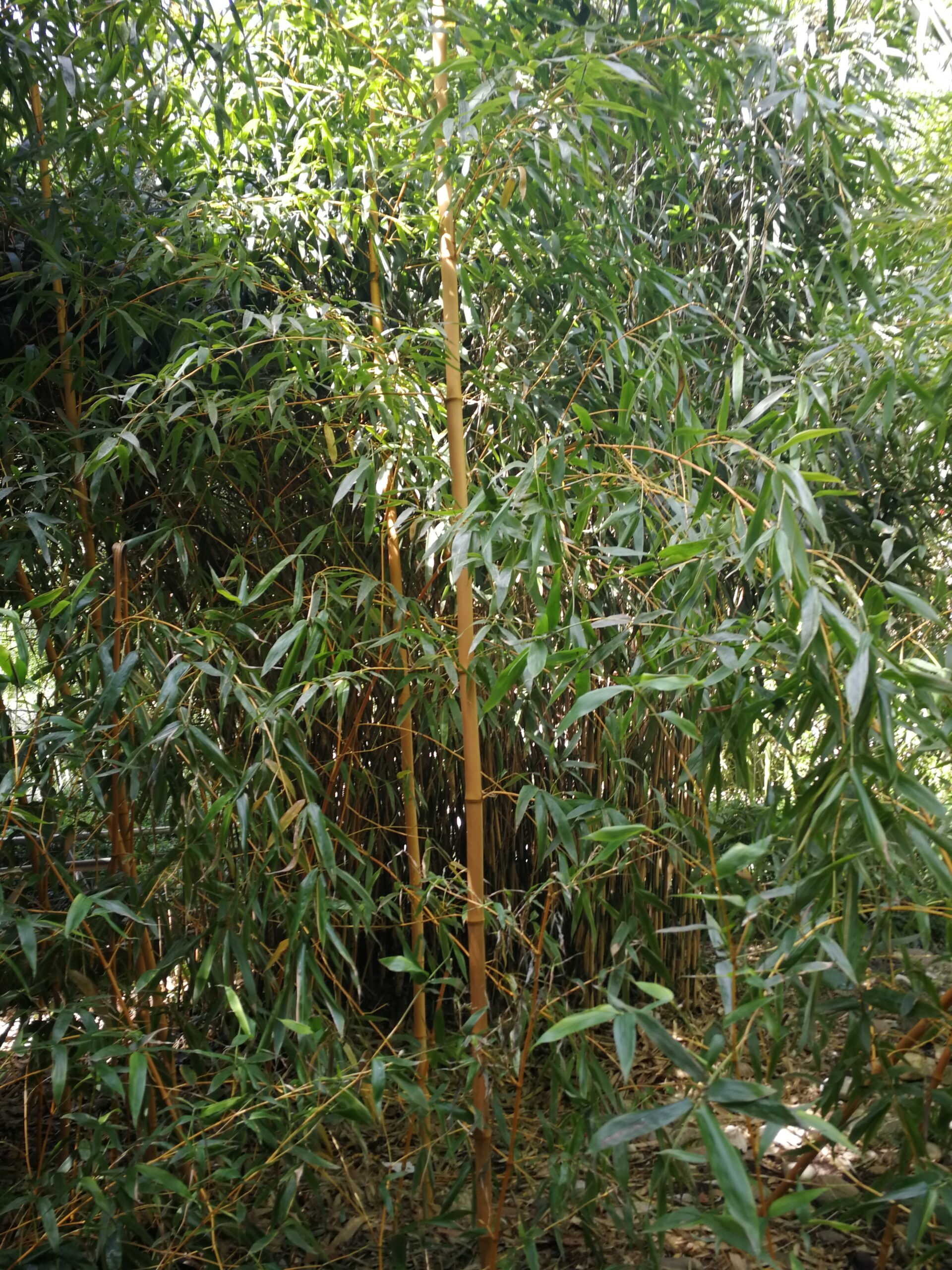 IMG_7476_IMG_20220410_134953